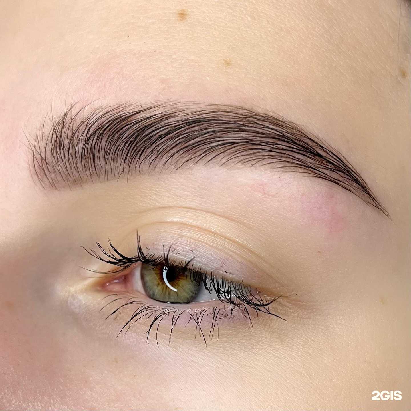 Отзывы на компанию Maveli в Твери c фото