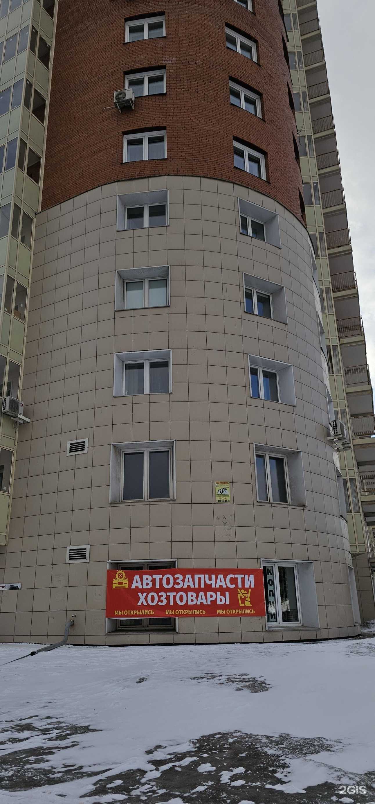 Отзывы на компанию Petsy в Красноярске c фото - фотография 2 из 2