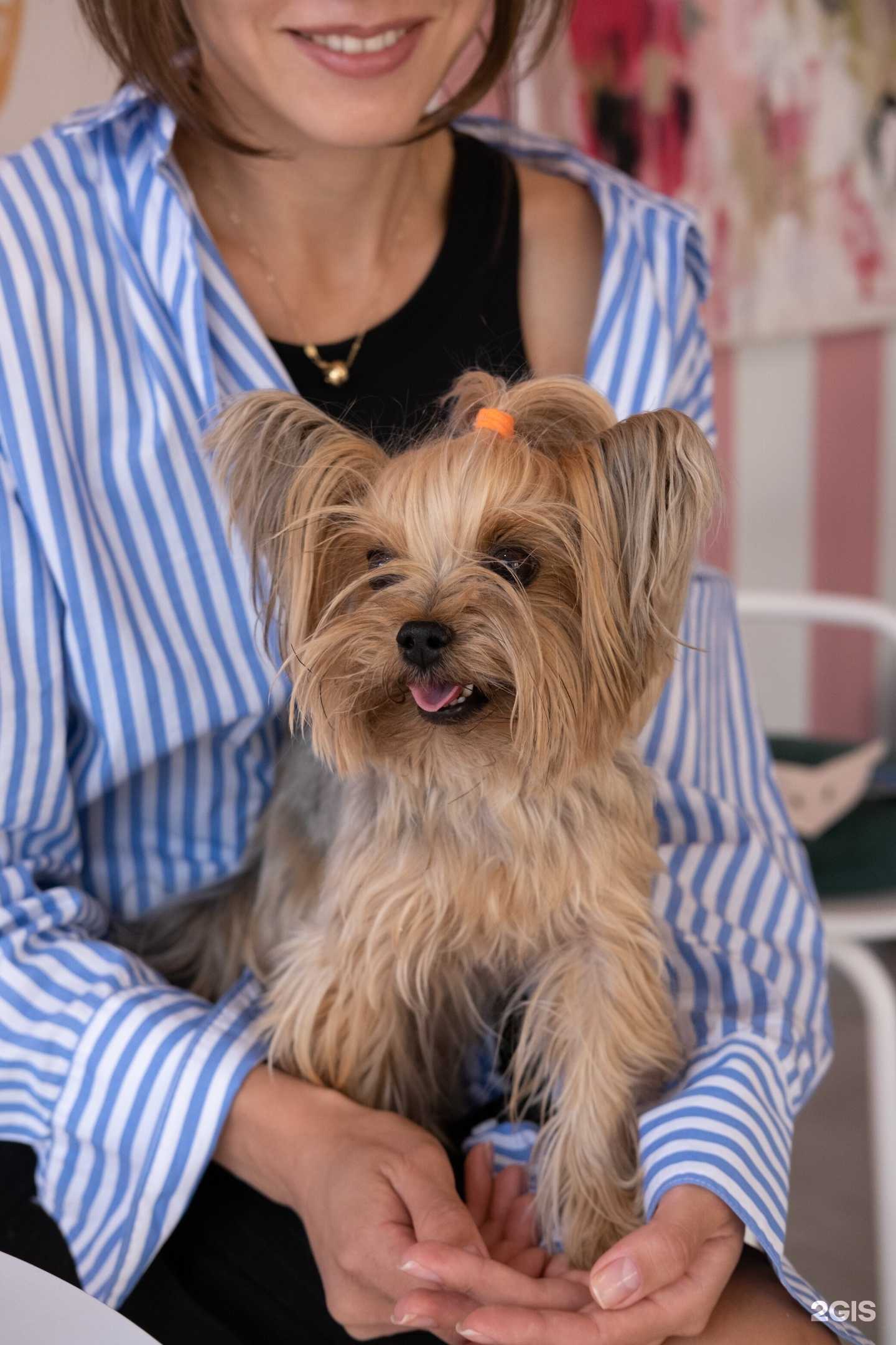 Отзывы на компанию Funky coffee в Волгограде c фото