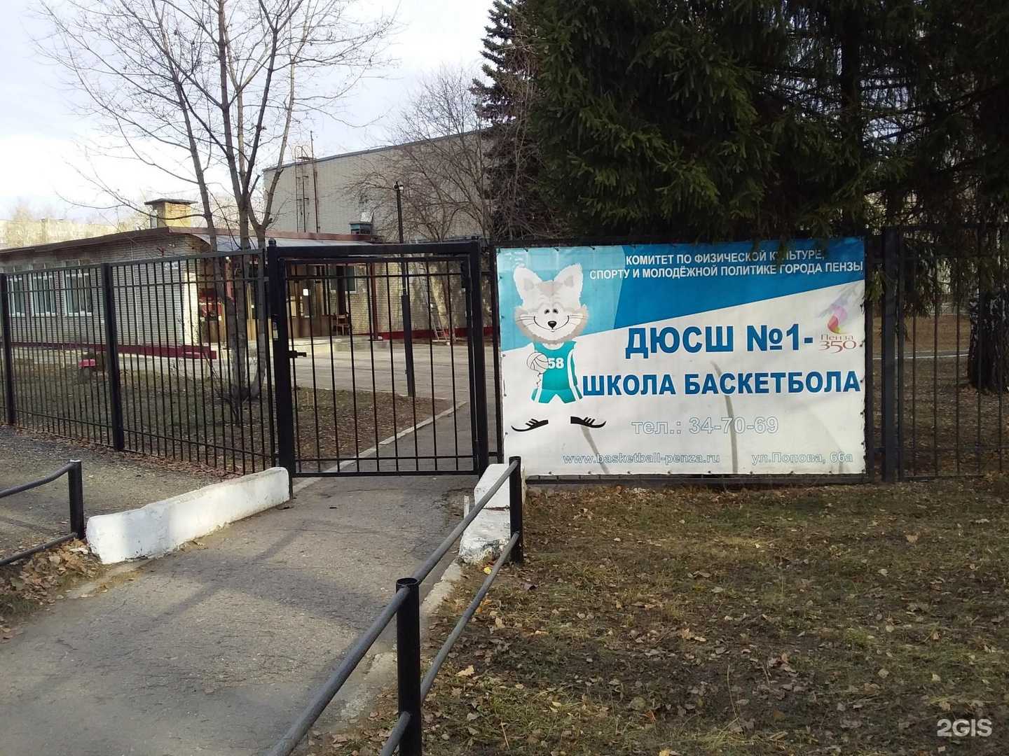 Отзывы на компанию Спортивная школа №1 г. Пензы в Пензе c фото - фотография 2 из 2