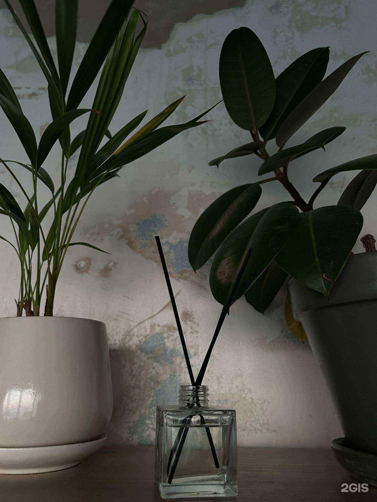 Отзывы на компанию 908 studio в Челябинске c фото