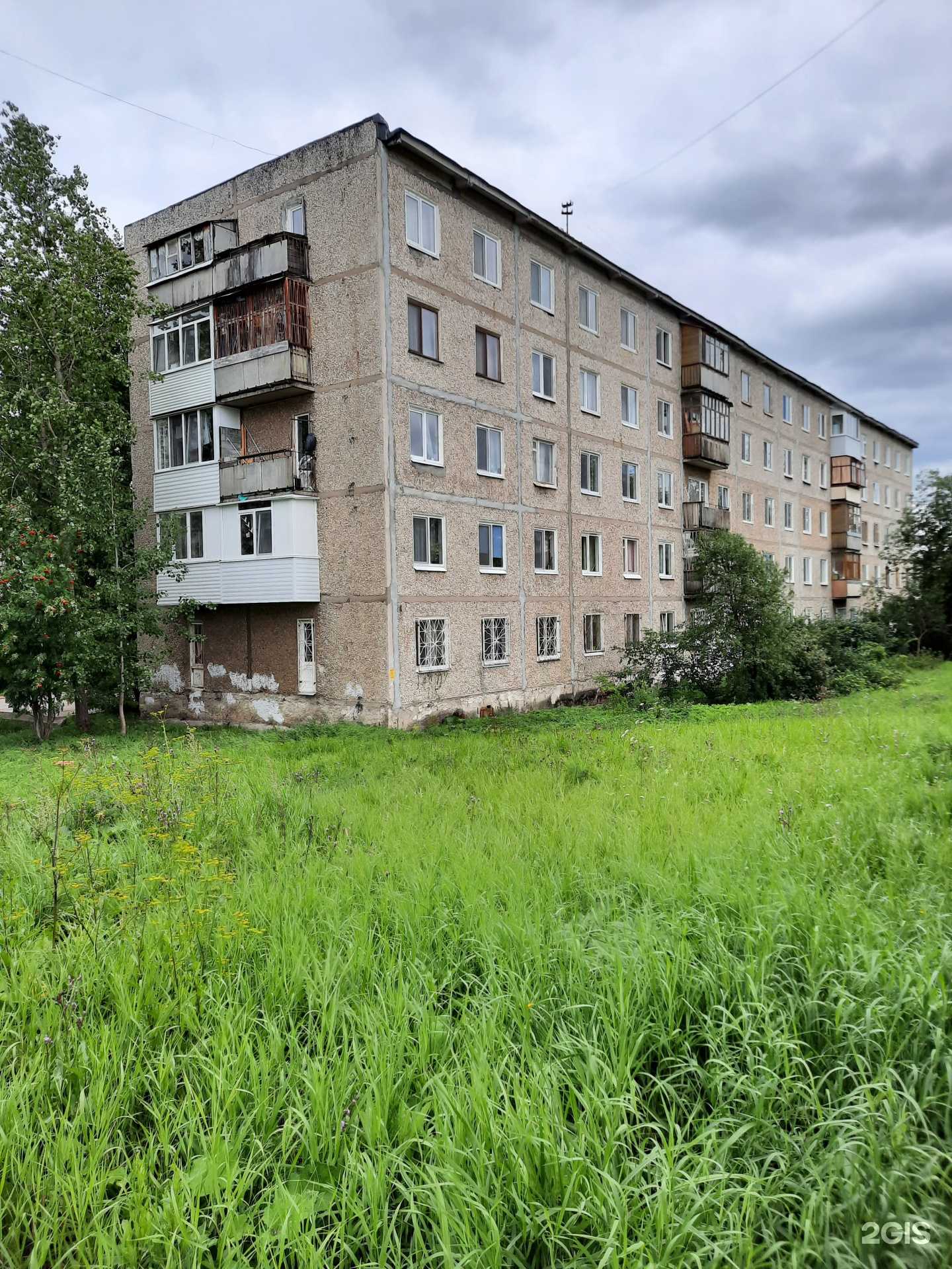 Отзывы на компанию Барбарис в г. Березники c фото