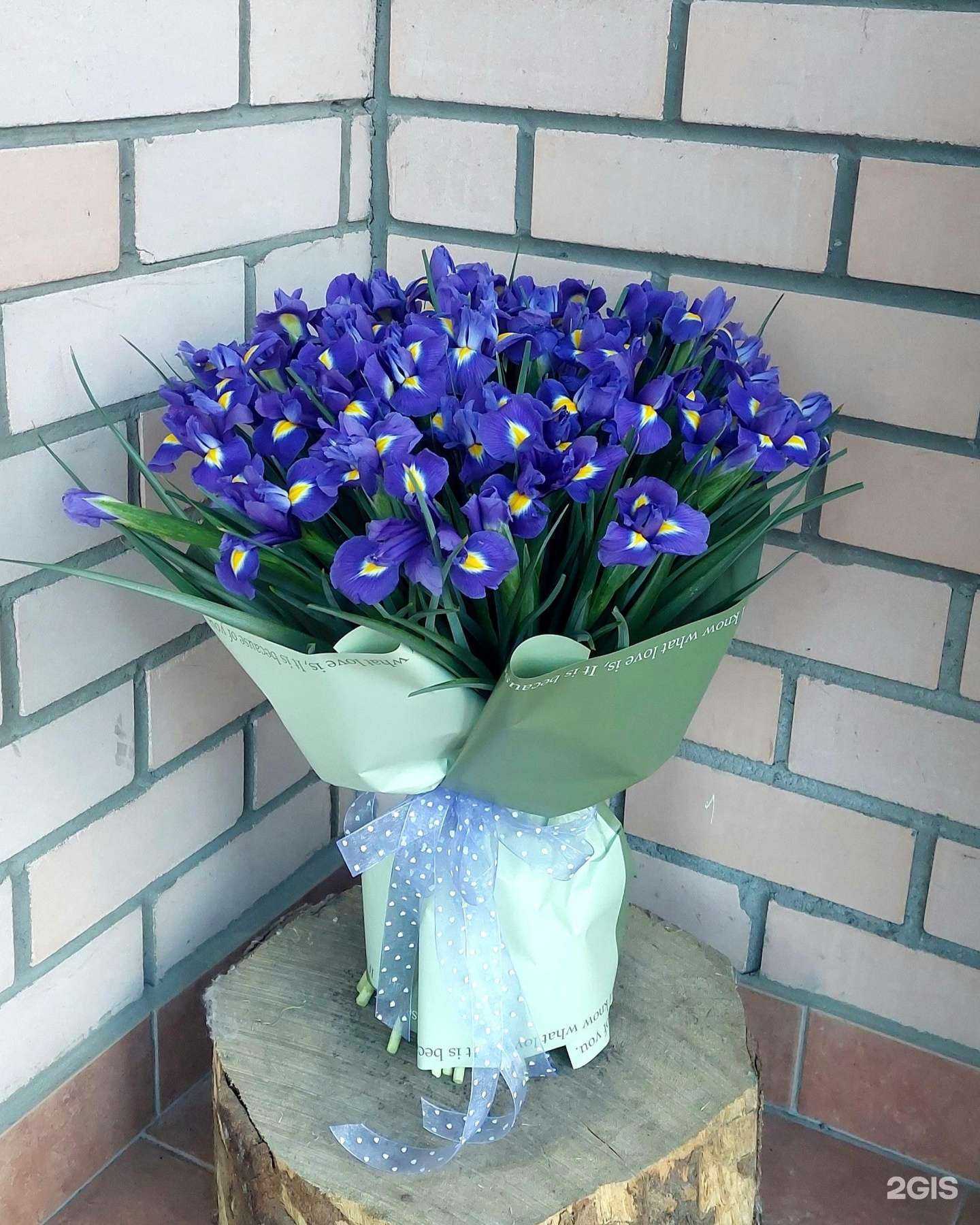 Отзывы на компанию Цветочная терраса в г. Тюмень c фото