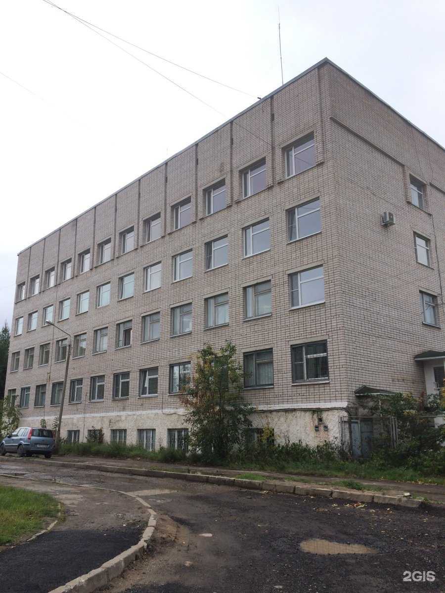 Отзывы на компанию Экстра-Лес в Вологде c фото - фотография 2 из 2