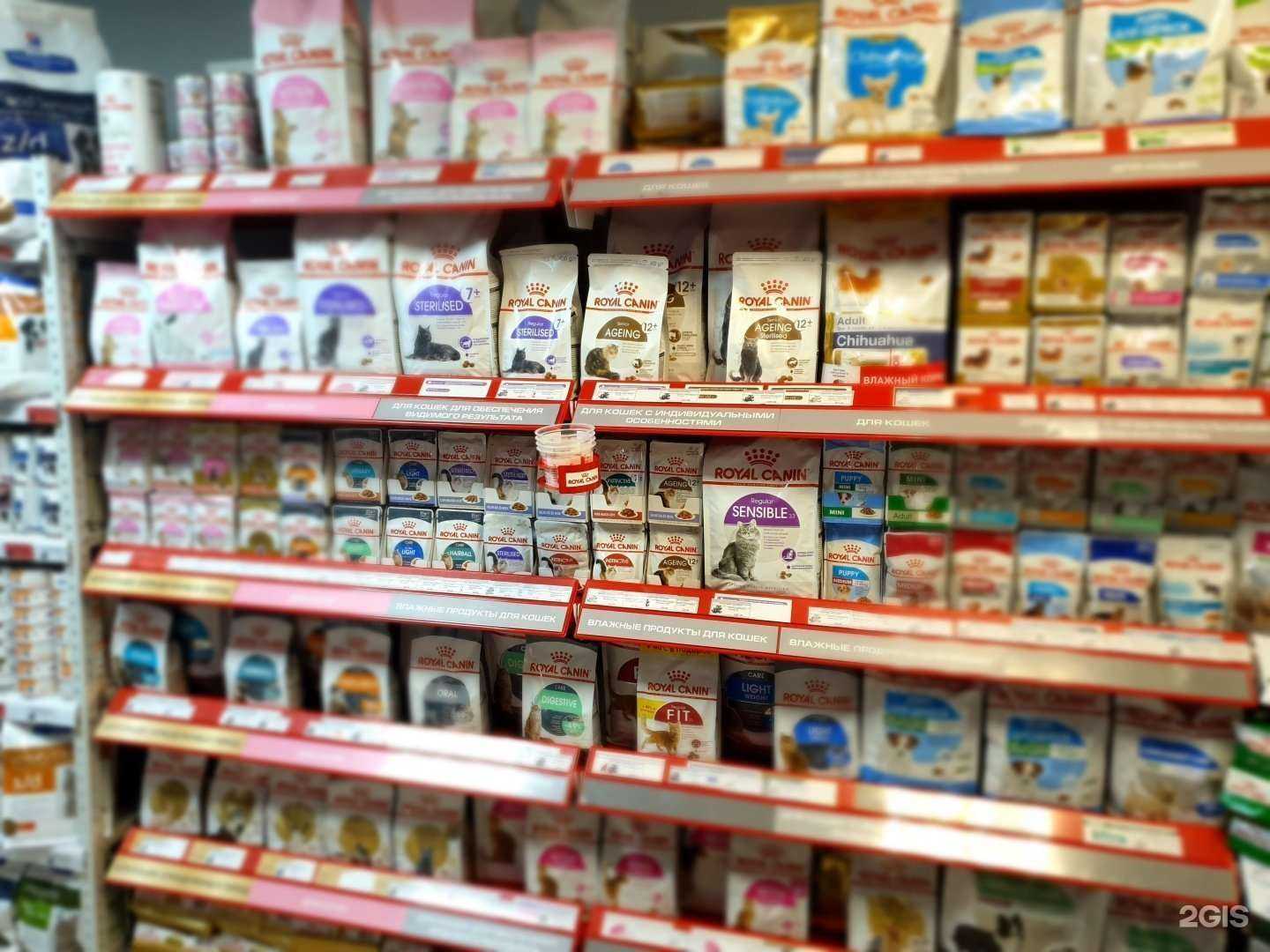 Отзывы на компанию Котобака в г. Мурманск c фото