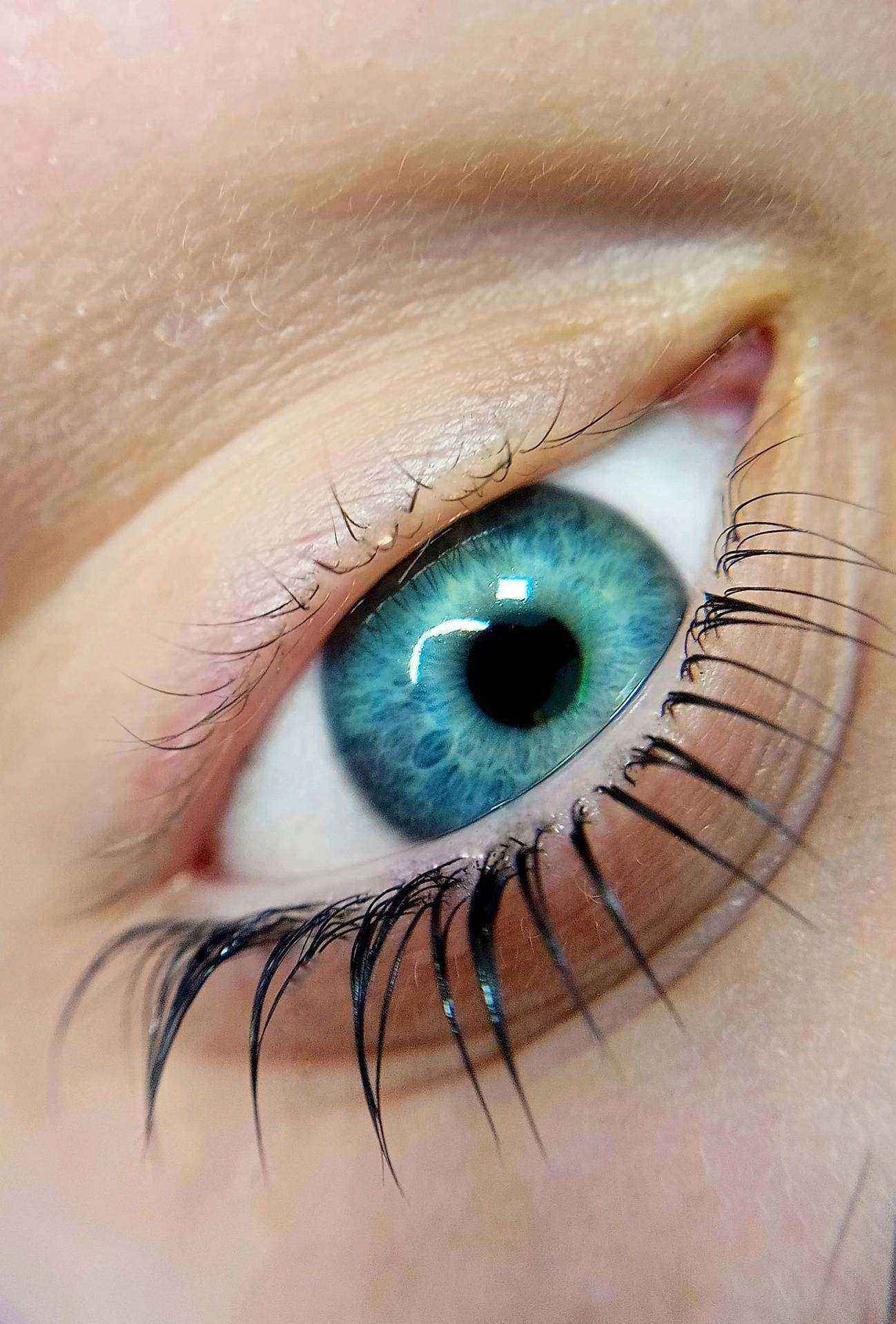 Отзывы на компанию Студия ресниц и депиляции в Архангельске c фото