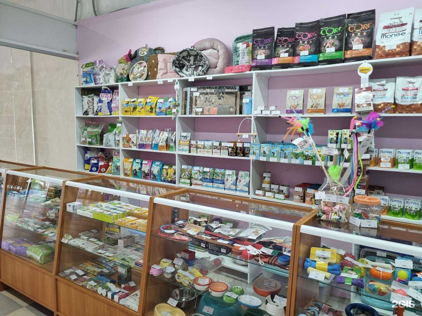 Отзывы на компанию Дружок Пушок в Челябинске c фото