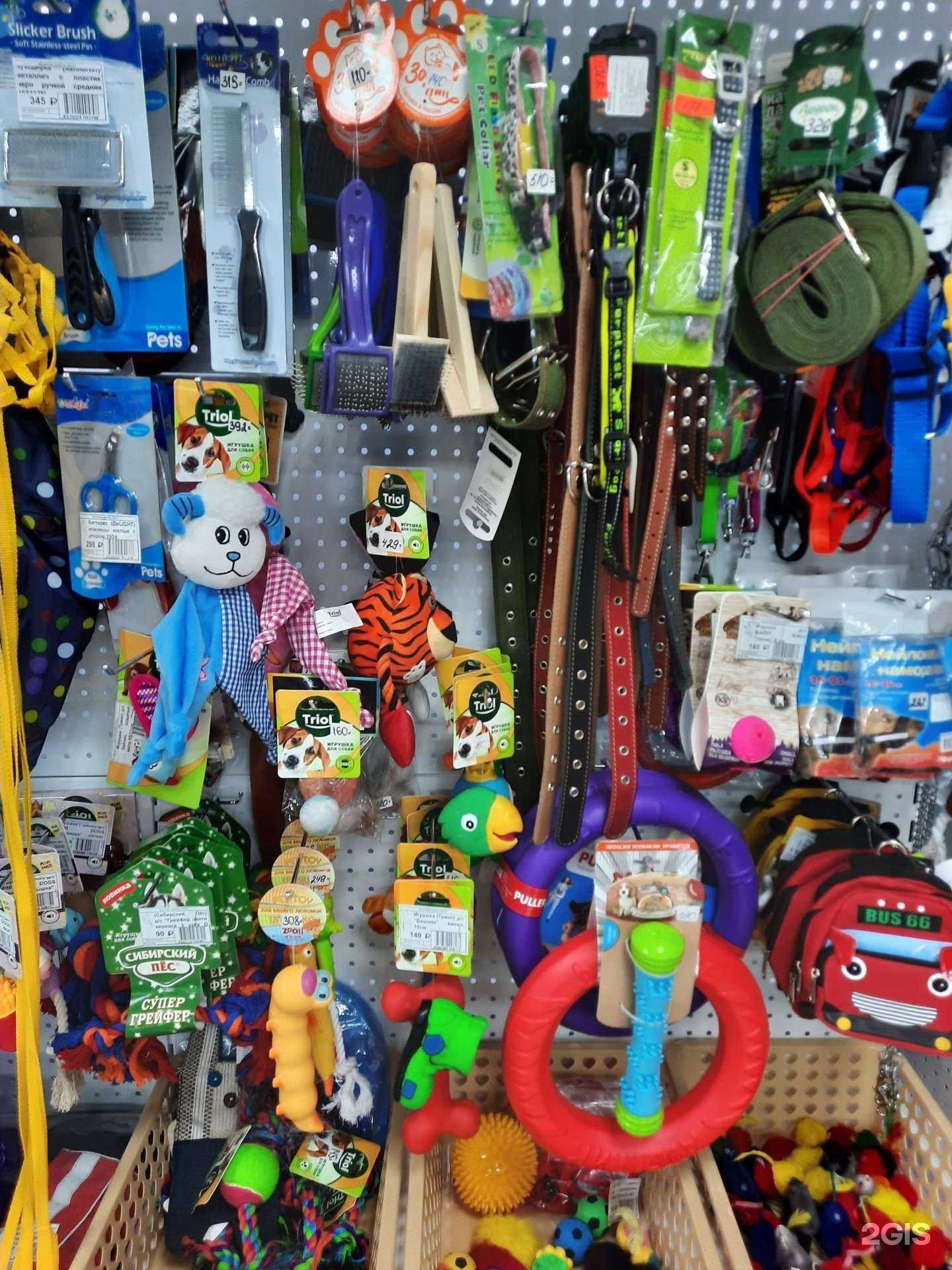 Отзывы на компанию Золотая рыбка в Ижевске c фото