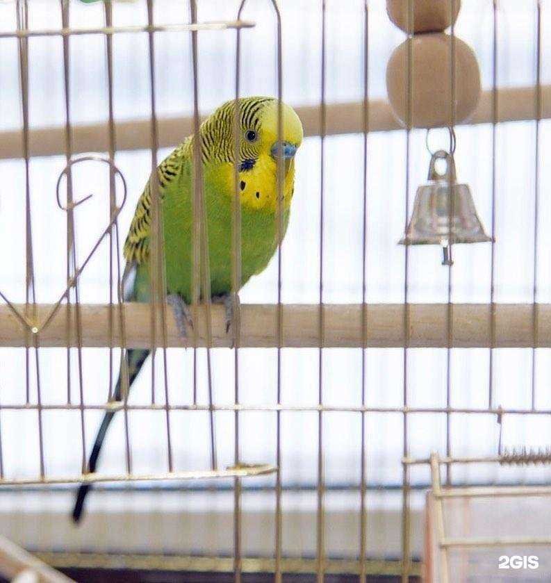 Отзывы на компанию Ветаптека03 в Улан-Удэ c фото