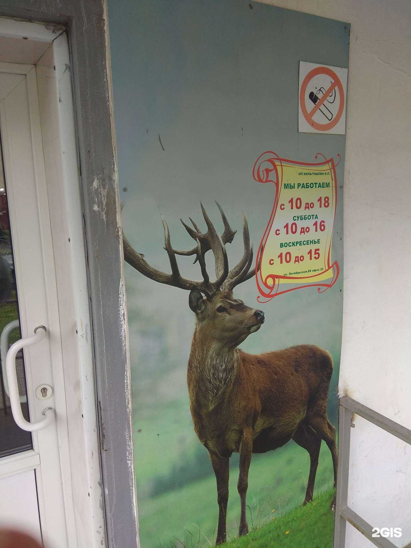 Отзывы на компанию Рыбохот в Поронайске c фото