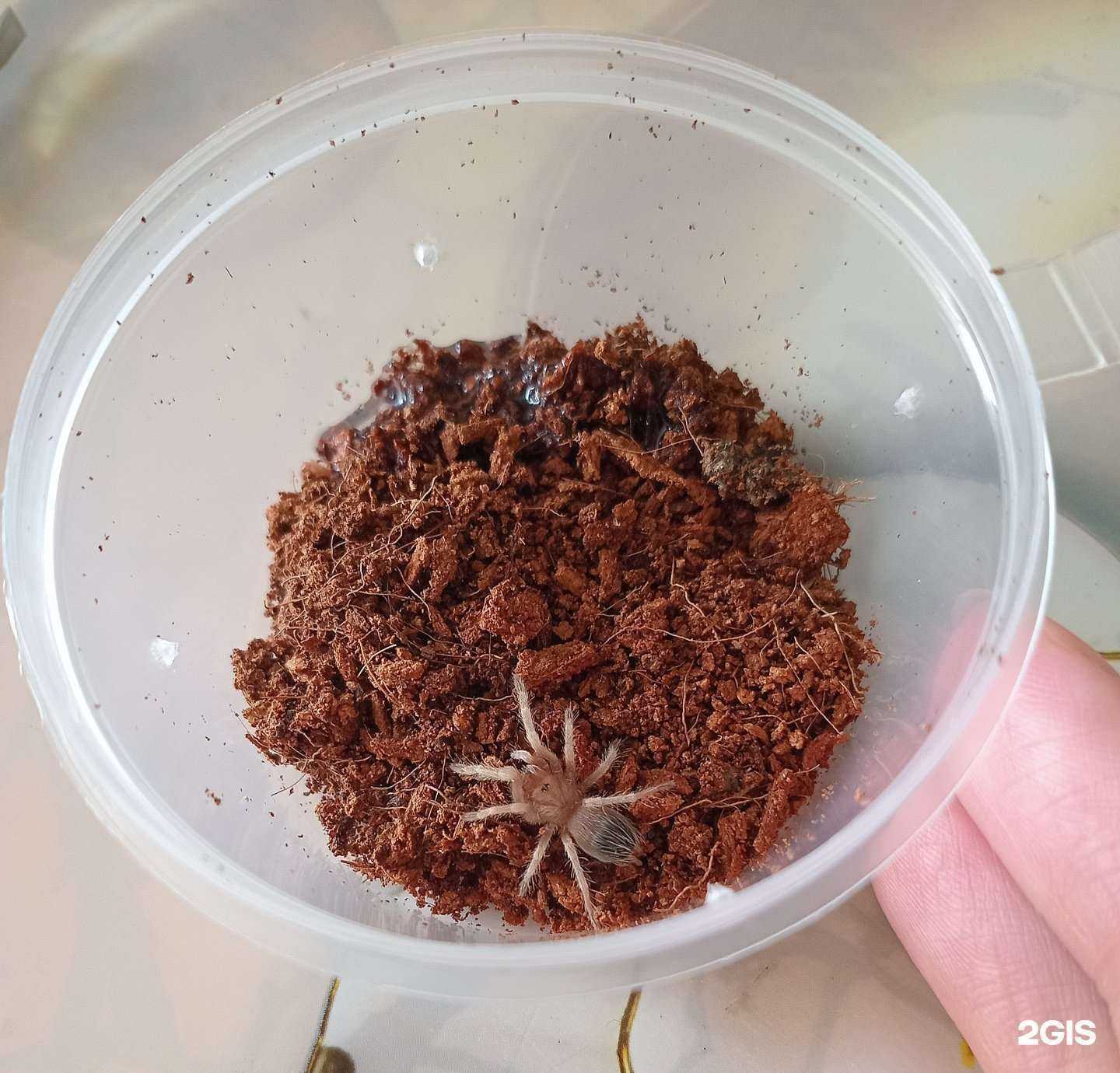 Отзывы на компанию ExoVita в г. Уфа c фото