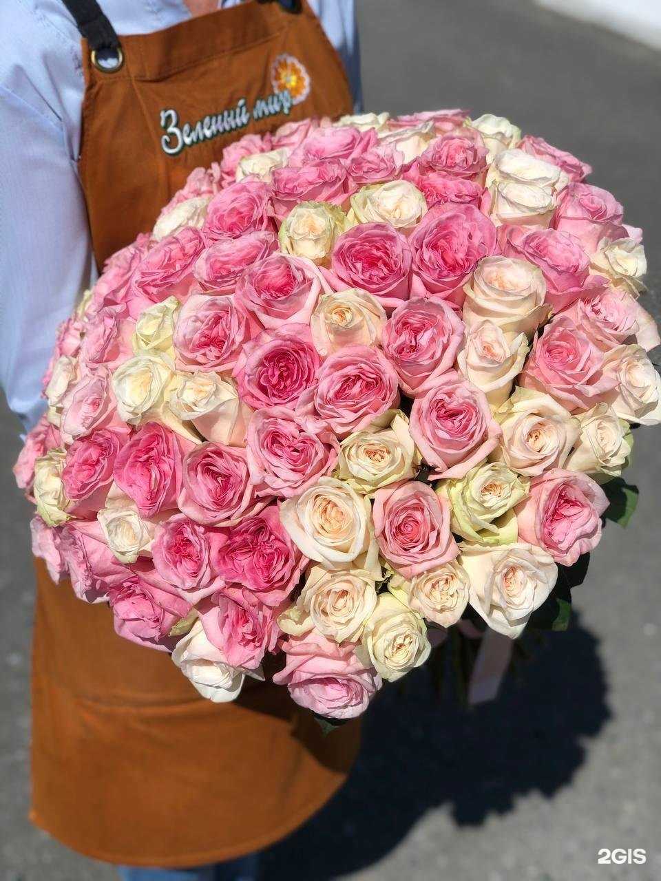 Отзывы на компанию Зеленый мир в Йошкар-Оле c фото