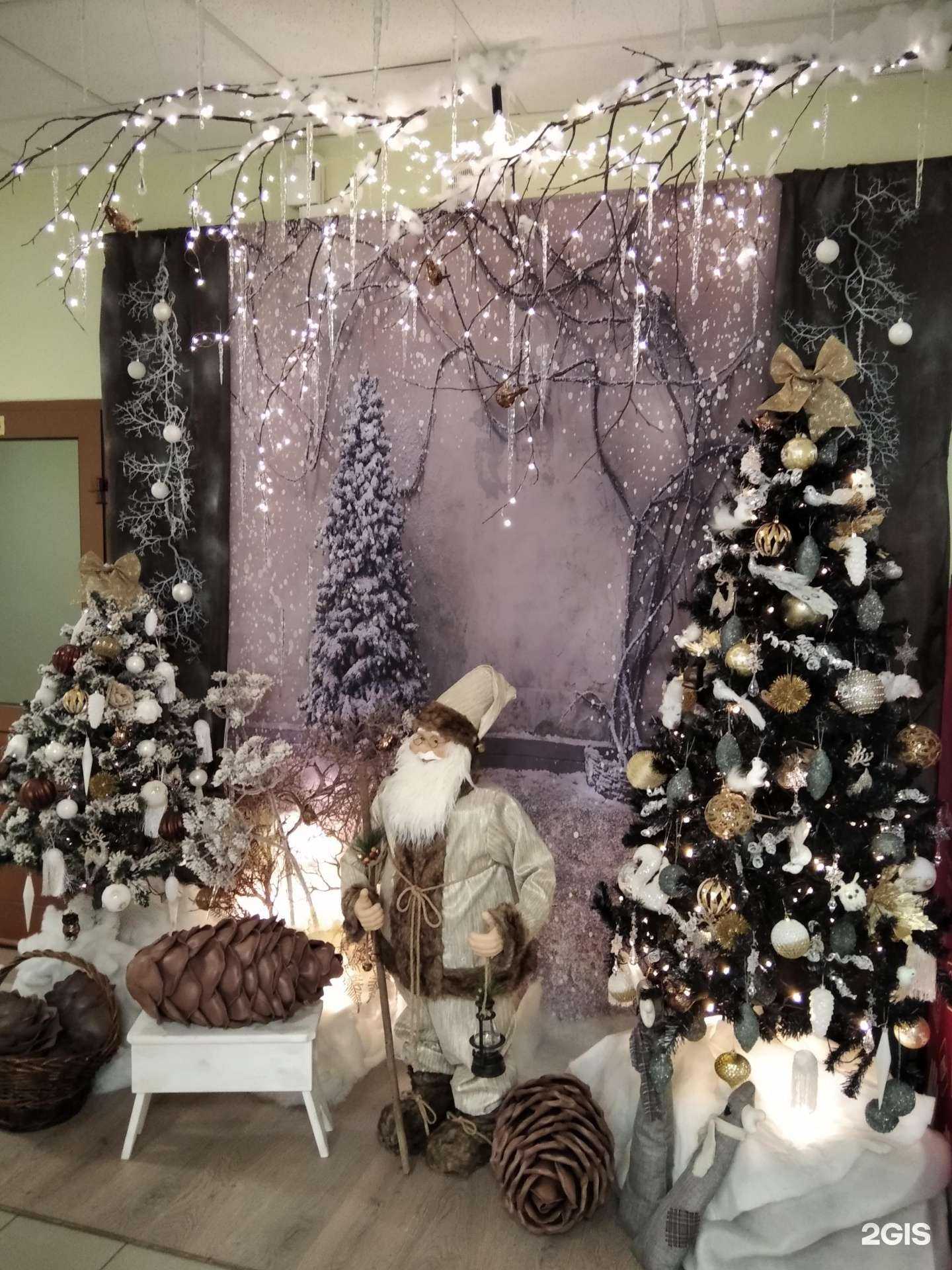 Отзывы на компанию Колибри в Мурманске c фото