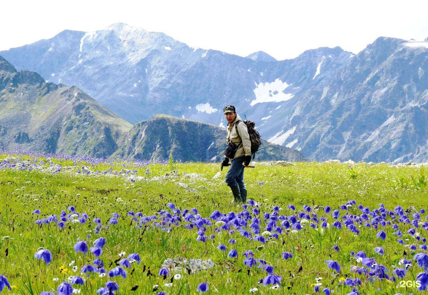 Отзывы на компанию БГГК в Улан-Удэ c фото