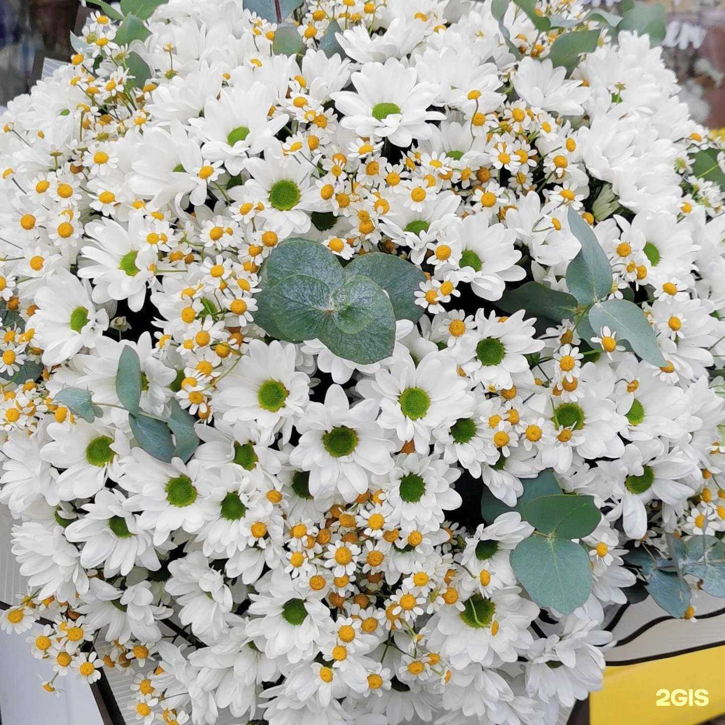 Отзывы на компанию Цветочная мастерская Марии Куницыной в г. Киров c фото