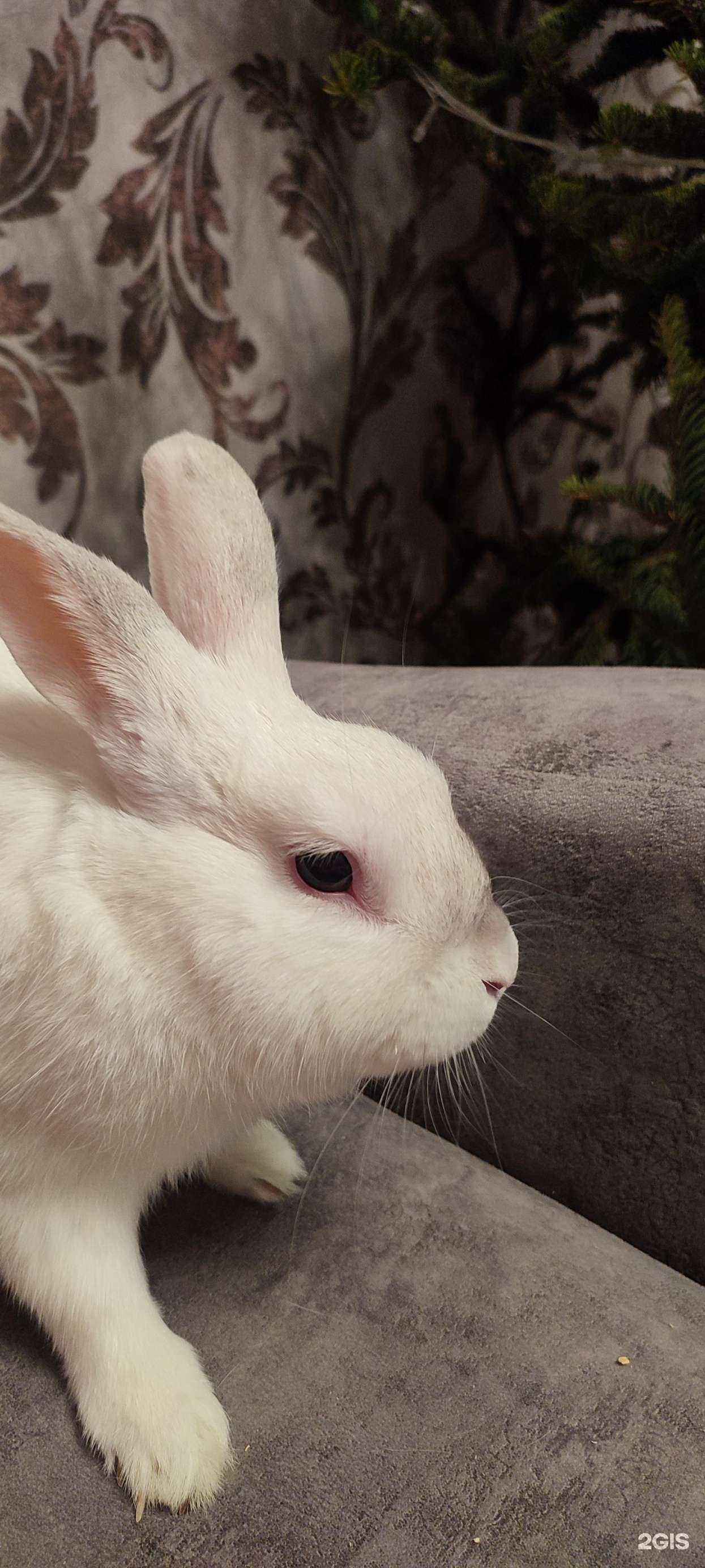 Отзывы на компанию Благовет в Барнауле c фото