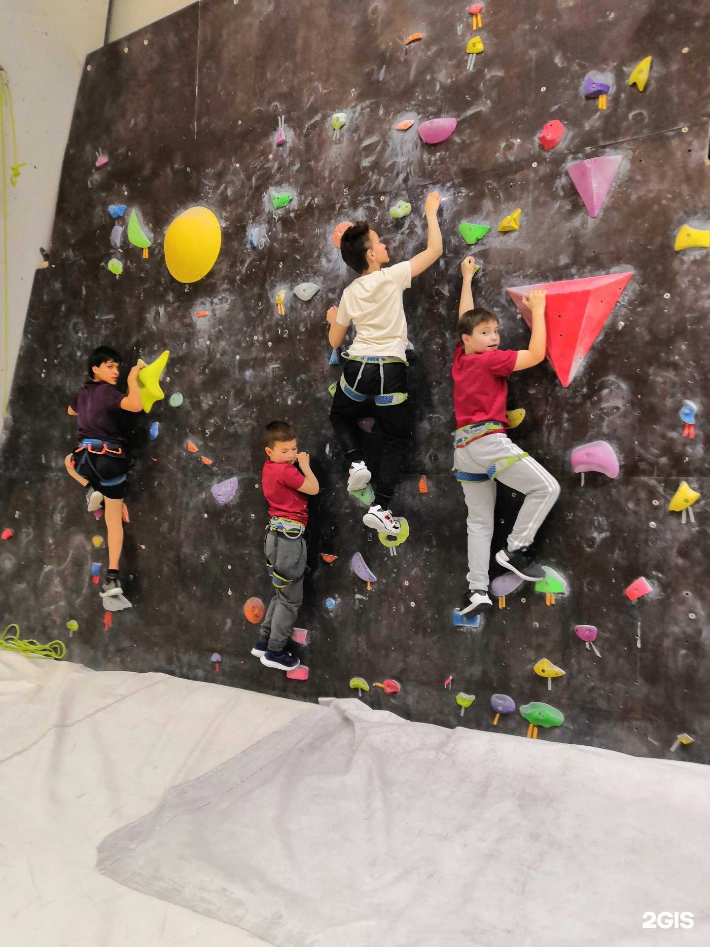 Отзывы на компанию Удаль в Новосибирске c фото