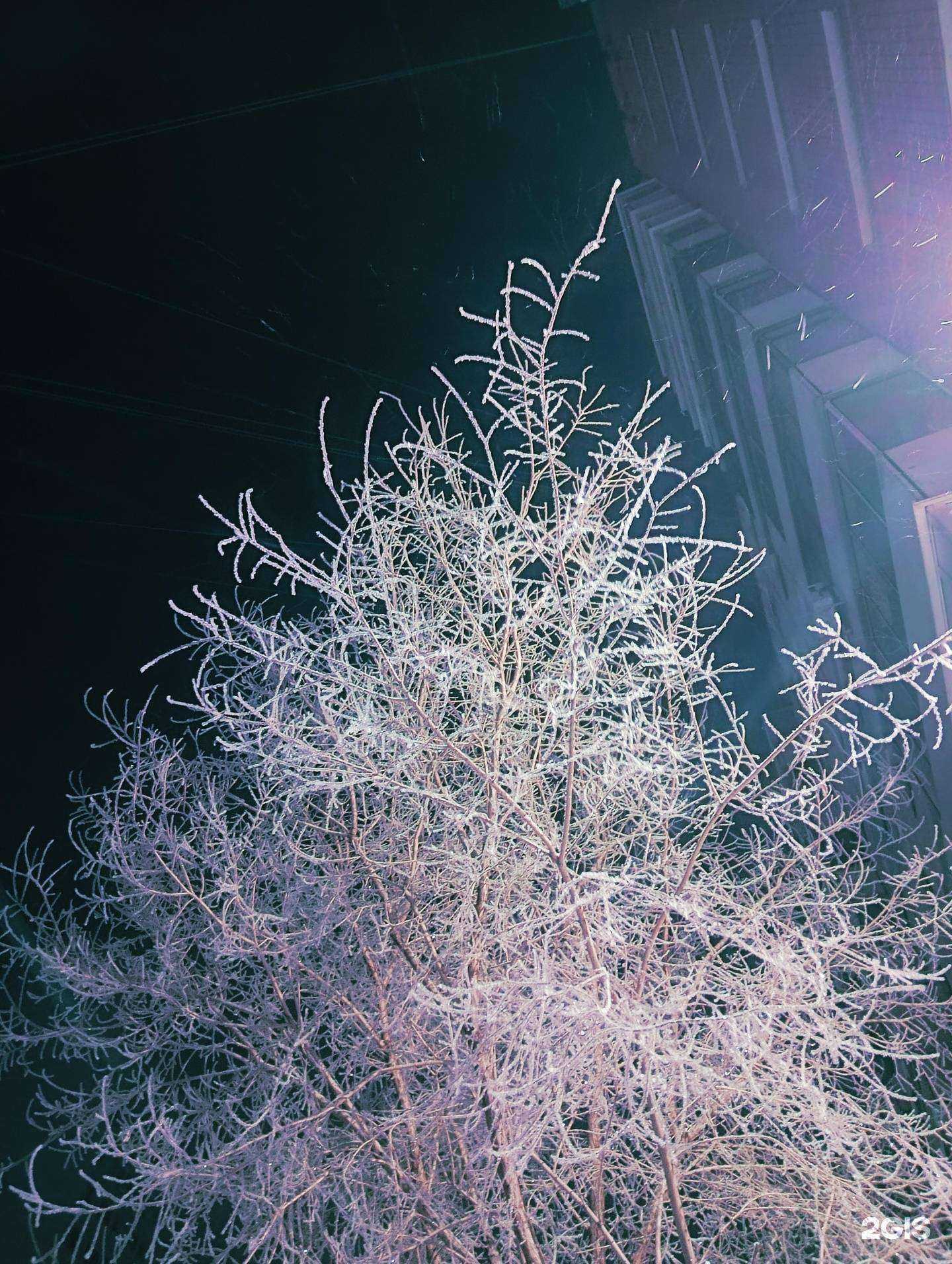 Отзывы на компанию Другие танцы в г. Барнаул c фото