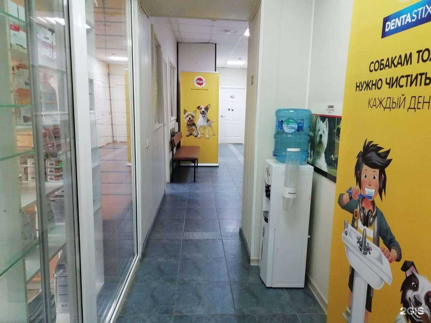 Отзывы на компанию Доктор Вет в г. Пермь c фото