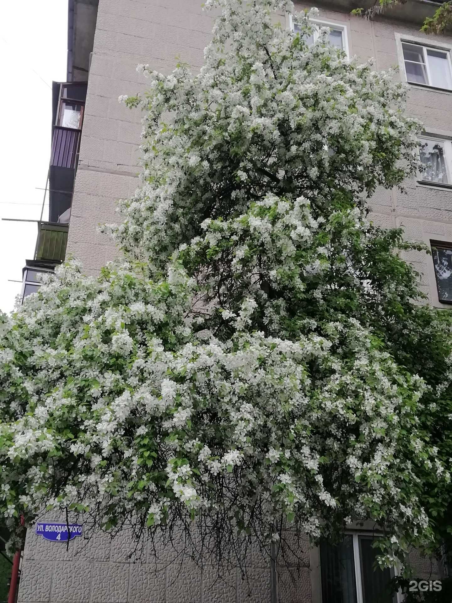 Отзывы на компанию Земля и право в Тамбове c фото - фотография 2 из 2