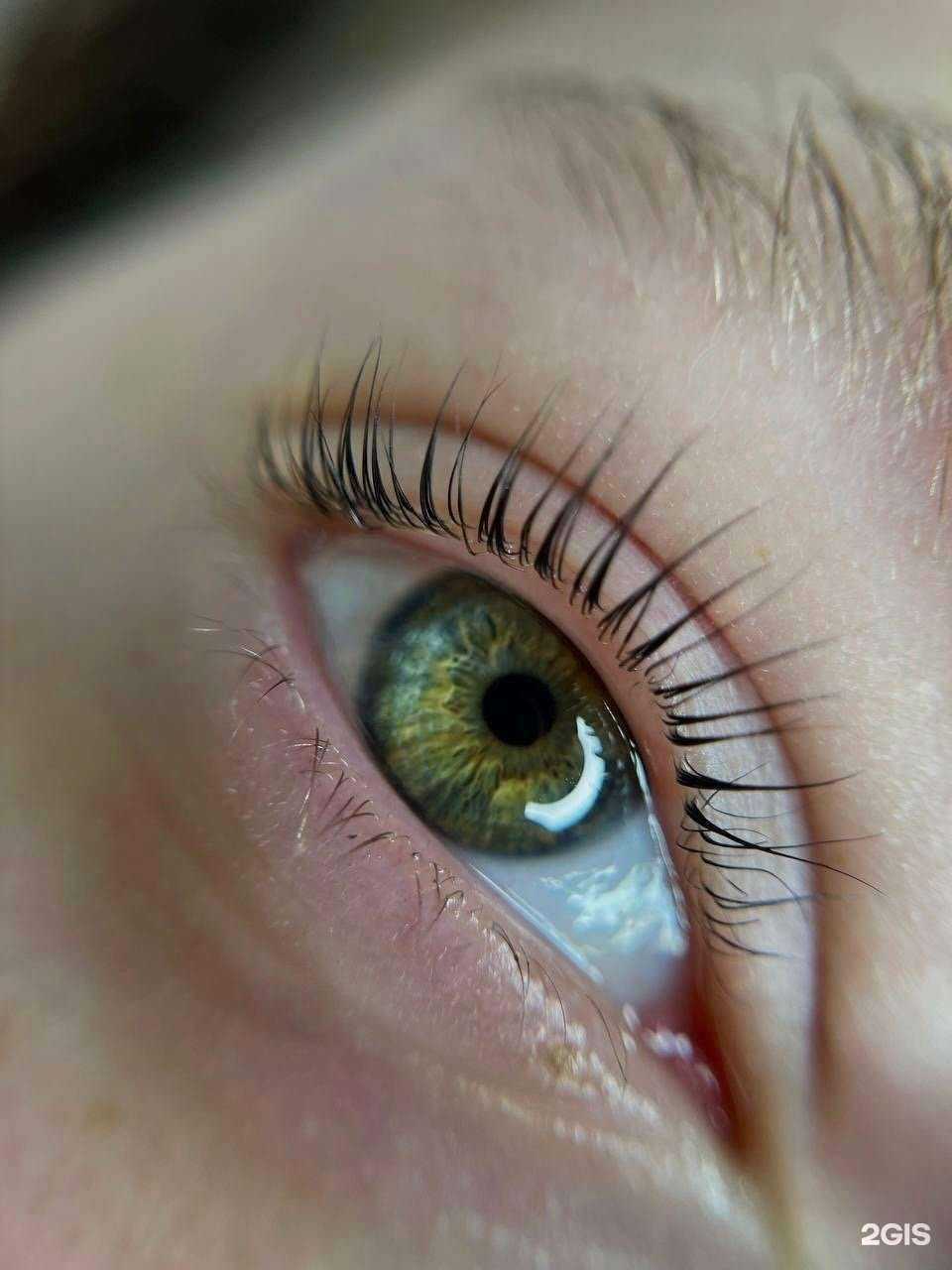 Отзывы на компанию D`el в Ярославле c фото