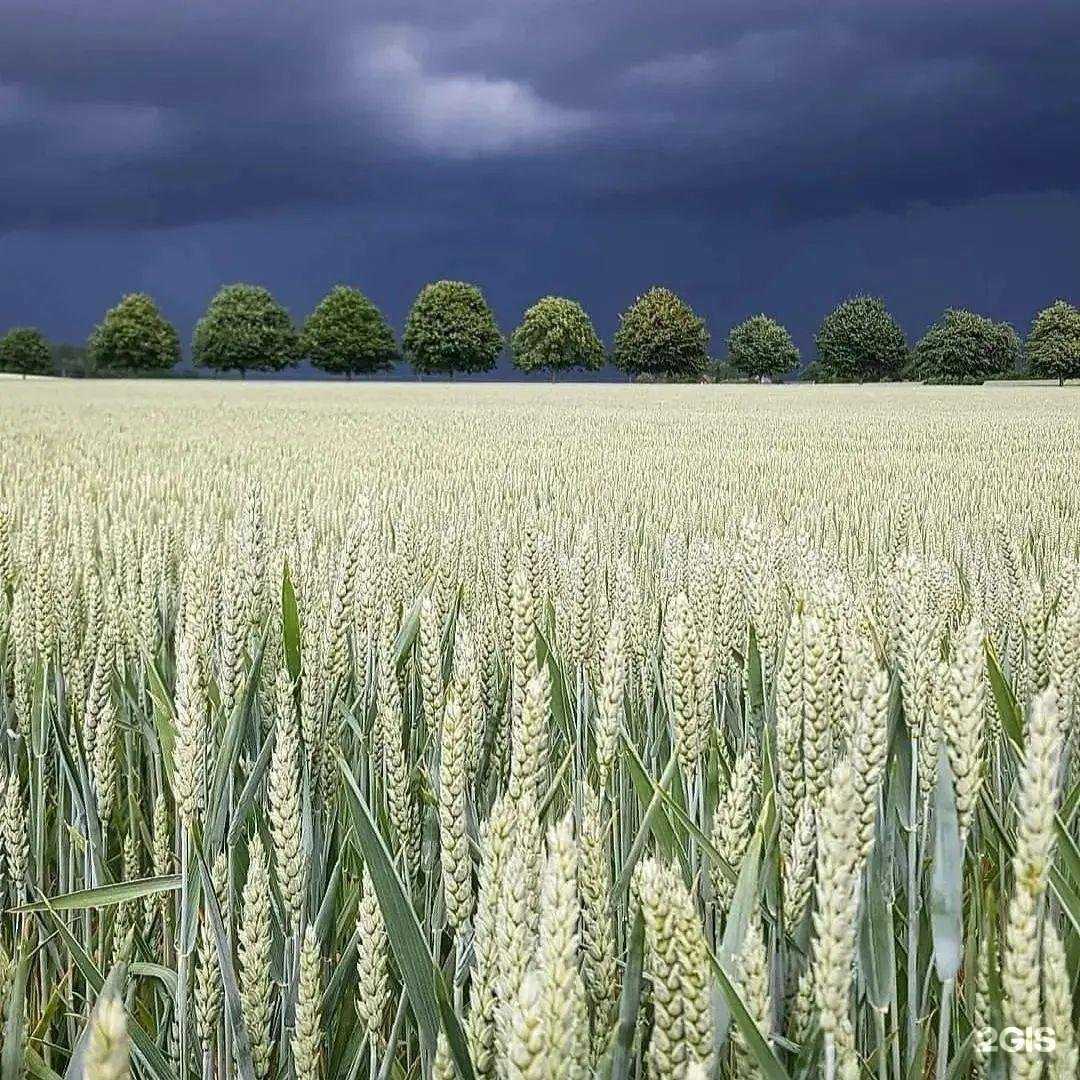 Отзывы на компанию Ника тур в г. Октябрьский c фото