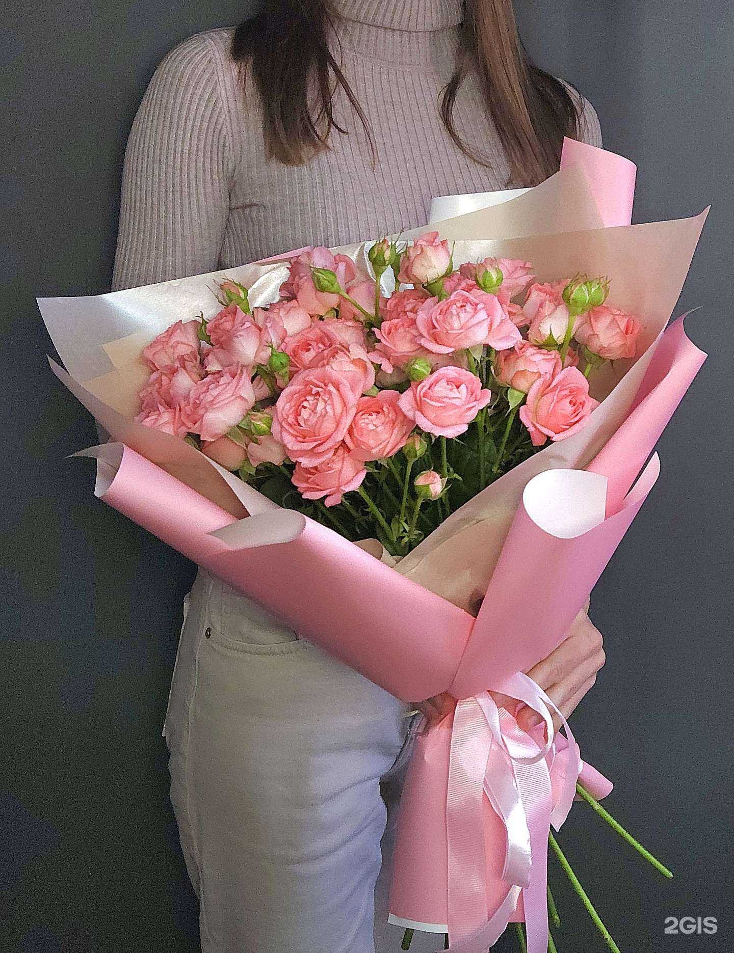 Отзывы на компанию mimosa mi musa в Краснодаре c фото