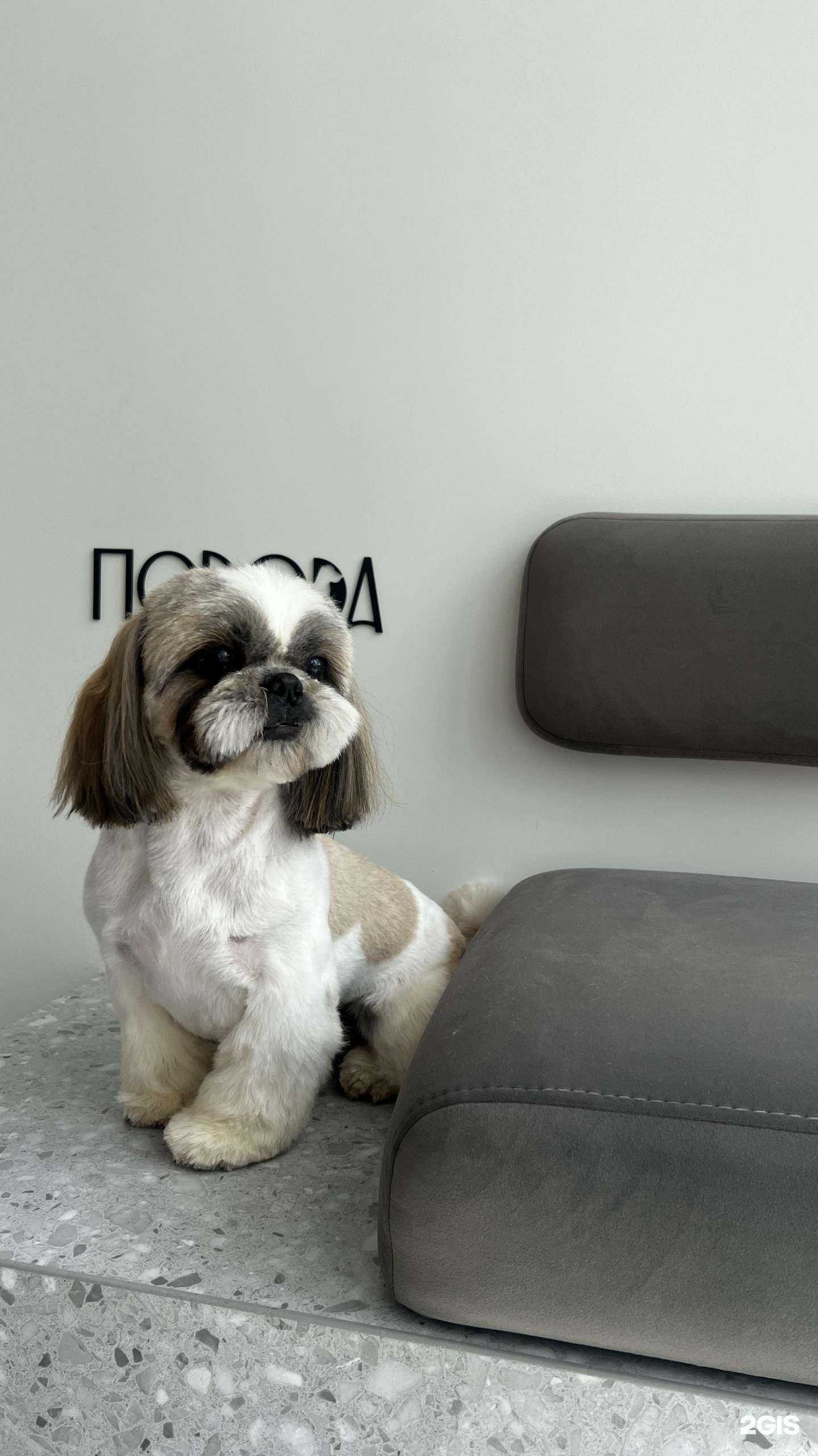 Отзывы на компанию Порода в Оренбурге c фото