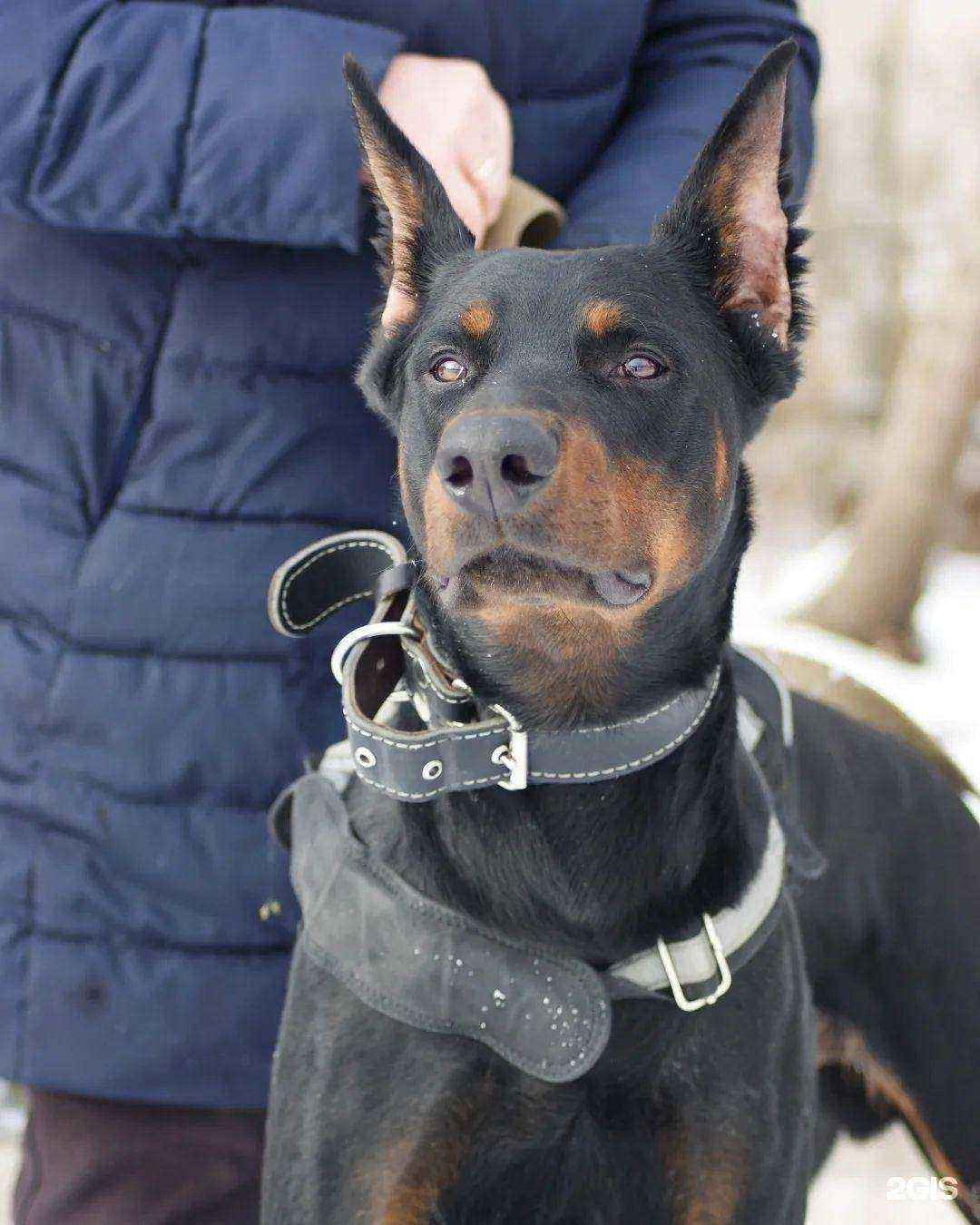 Отзывы на компанию Симуран в Бийске c фото