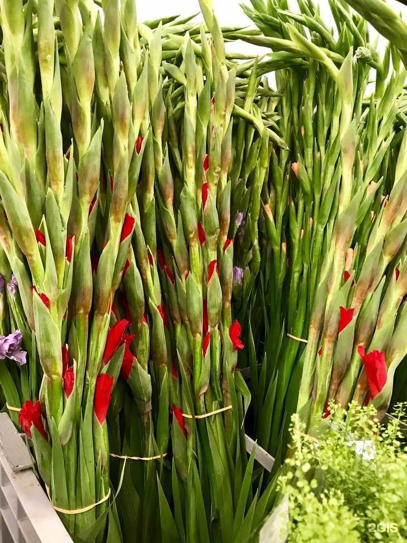 Отзывы на компанию Юг в г. Миасс c фото