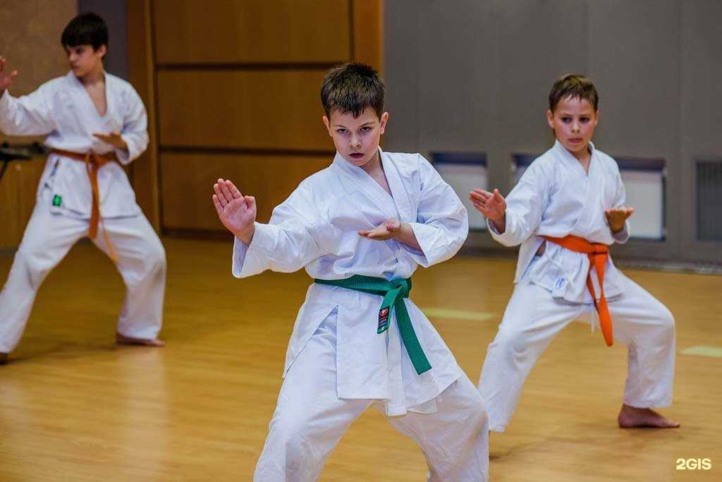 Отзывы на компанию Атари в г. Ростов-на-Дону c фото