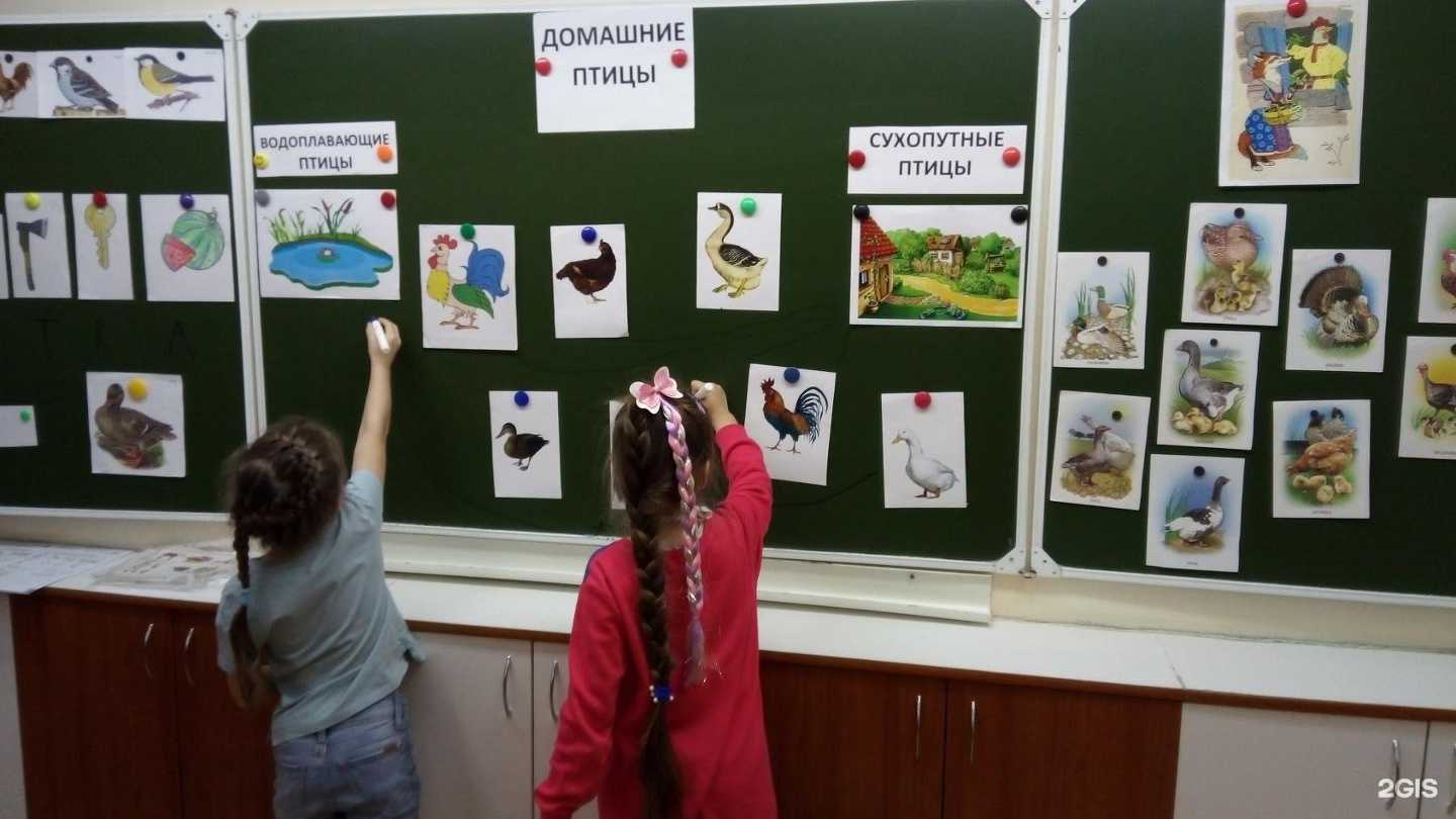 Отзывы на компанию Дошколёнок в Перми c фото