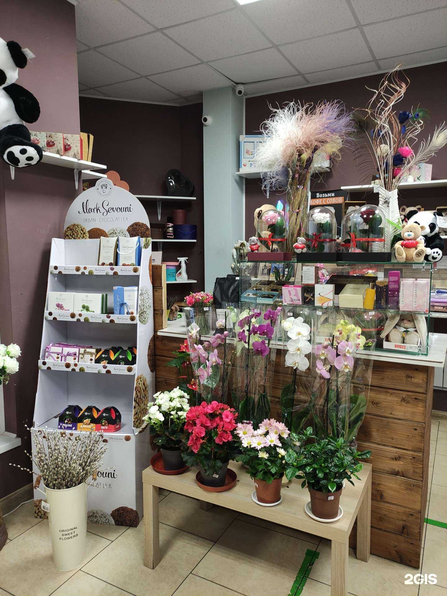 Отзывы на компанию Цветные Сны в Балашихе c фото