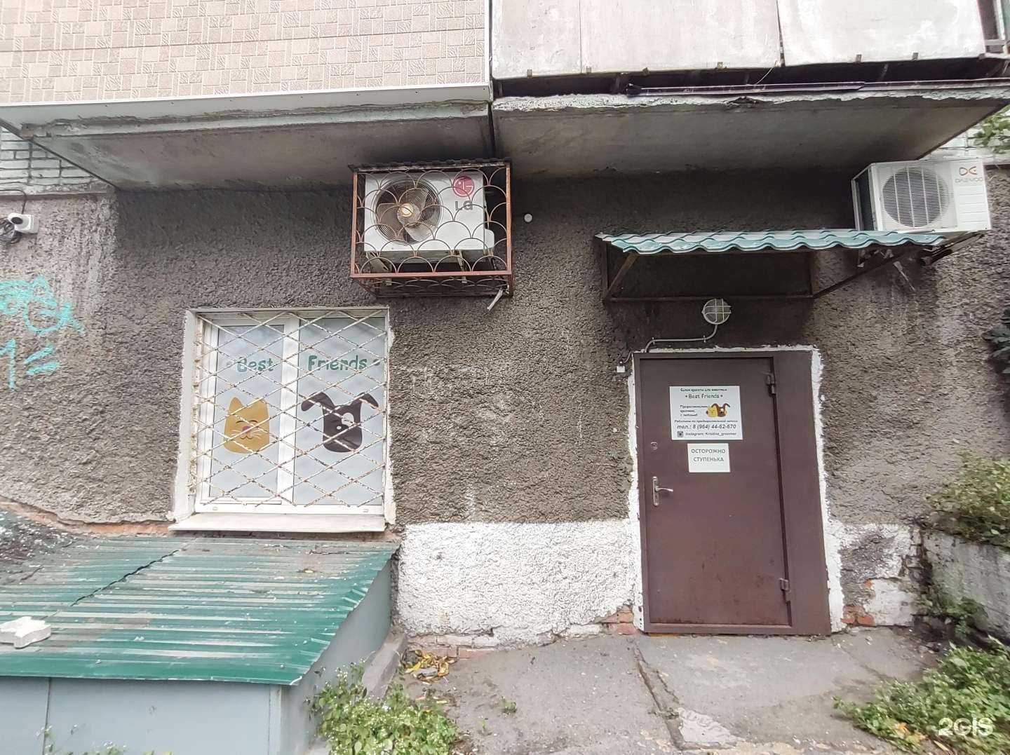 Отзывы на компанию Best friends в г. Владивосток c фото