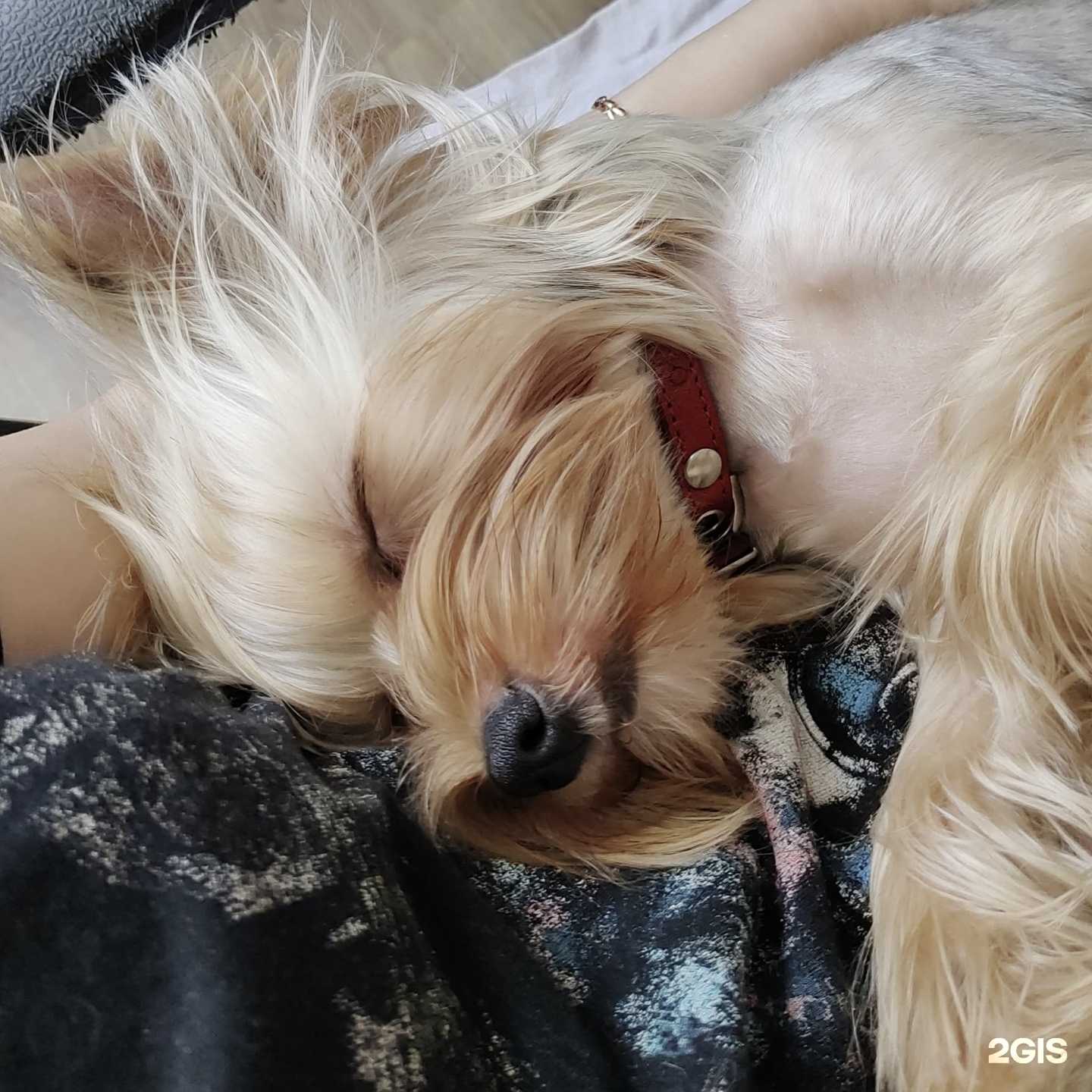 Отзывы на компанию Black Diamond в Оренбурге c фото