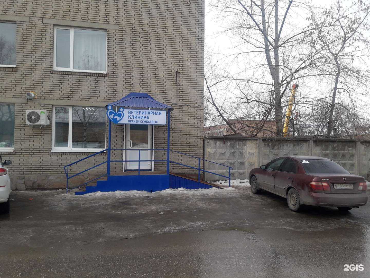 Отзывы на компанию Ветеринарная клиника врачей Сумбаевых в Пензе c фото - фотография 2 из 2