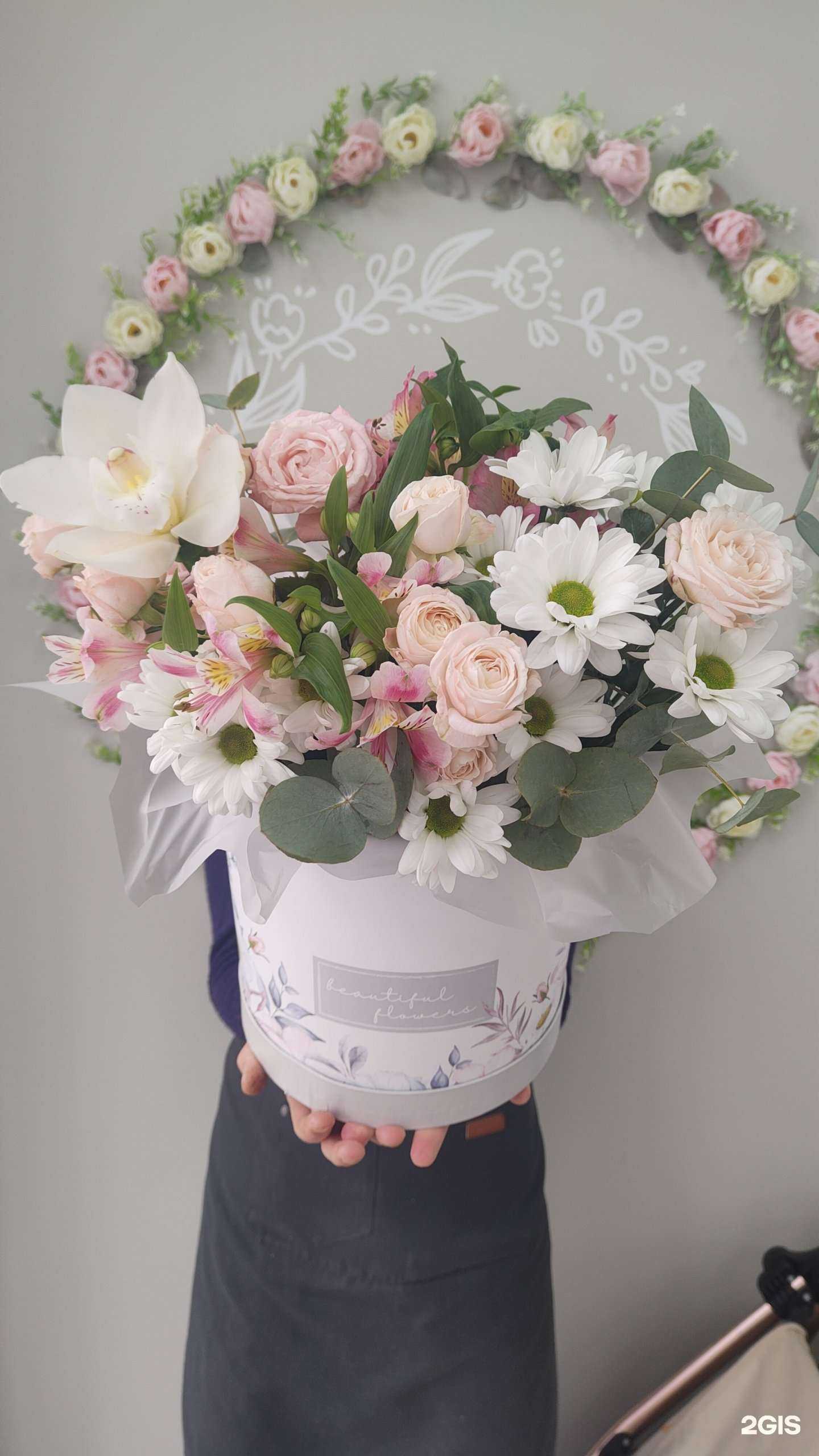 Отзывы на компанию Астра в Анапе c фото