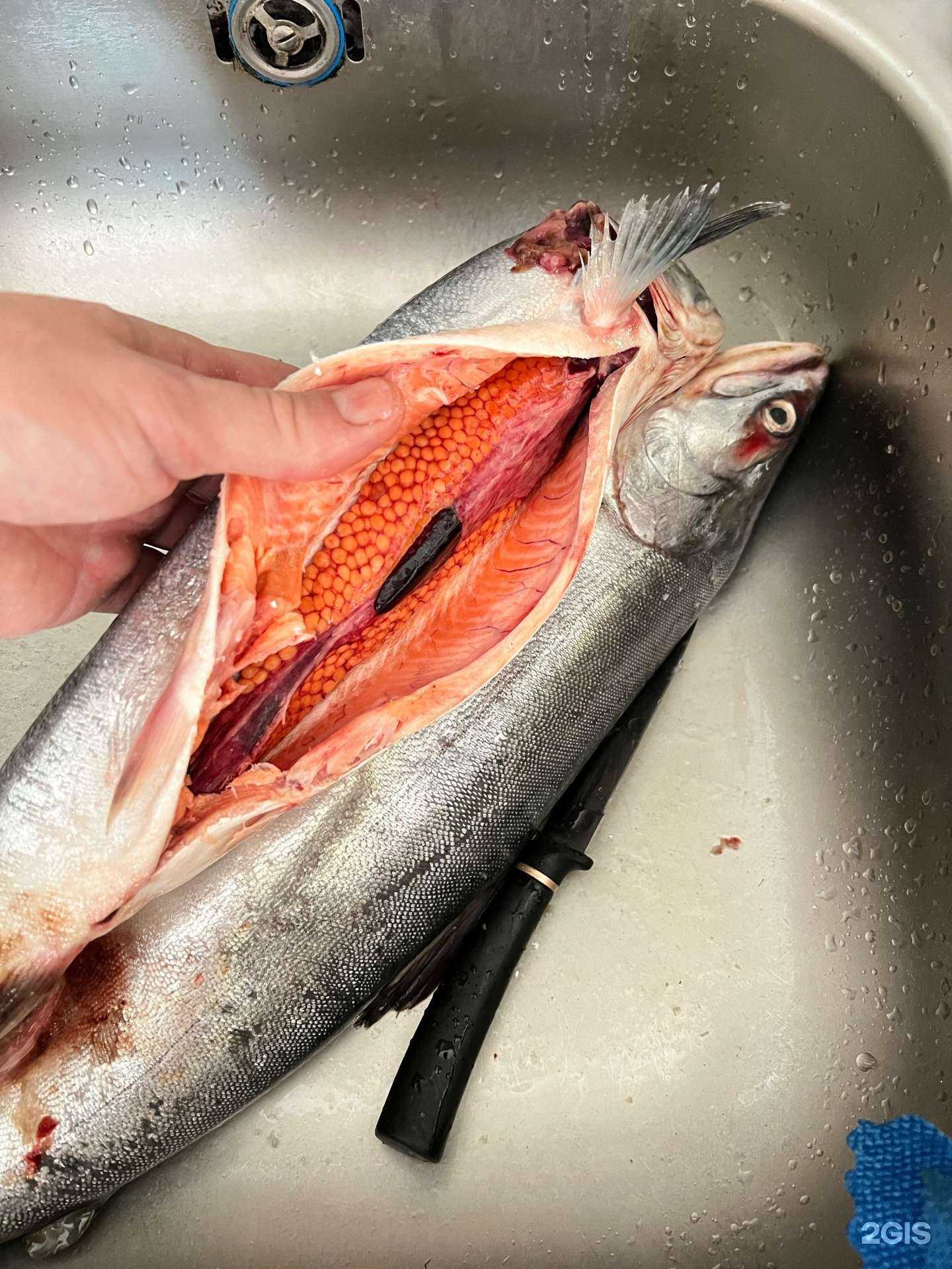 Отзывы на компанию Магазин морепродуктов в Иркутске c фото