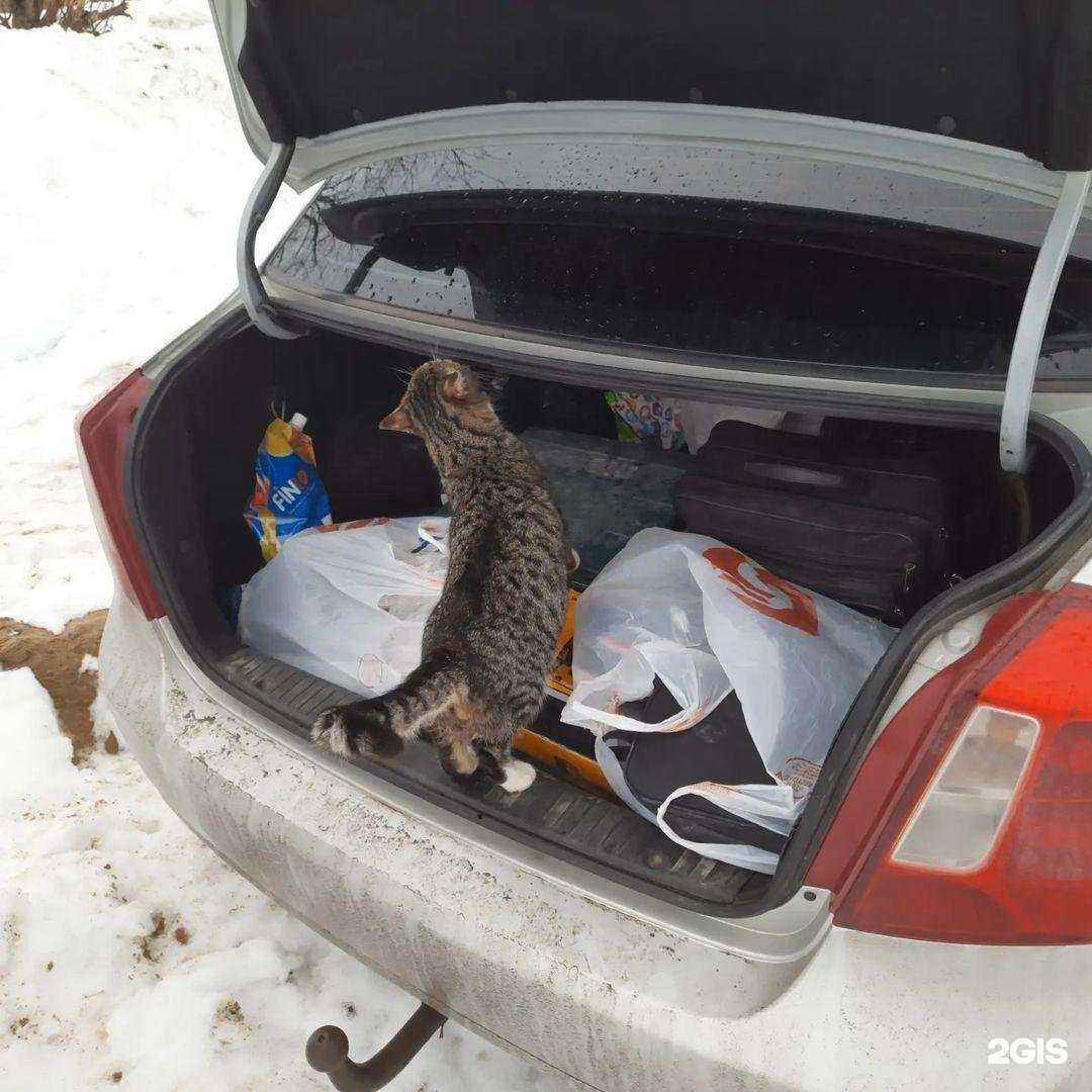 Отзывы на компанию КС-Инвест в г. Петрозаводск c фото