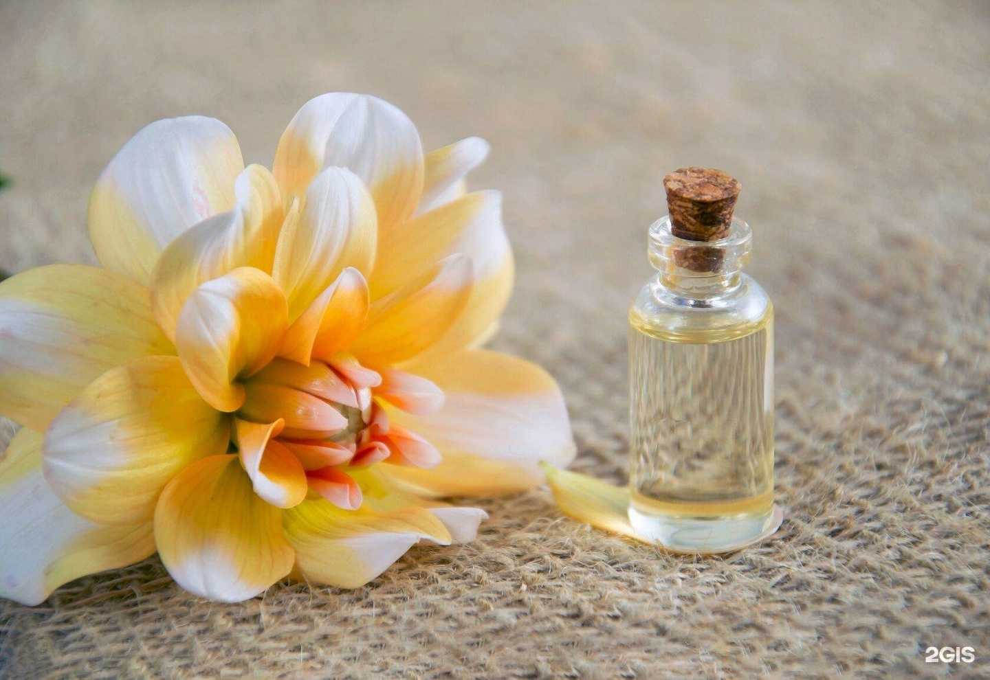 Отзывы на компанию Грумант в Великом Новгороде c фото