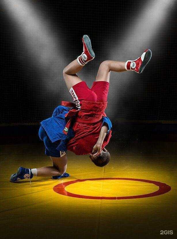 Отзывы на компанию Tatami в Сочи c фото