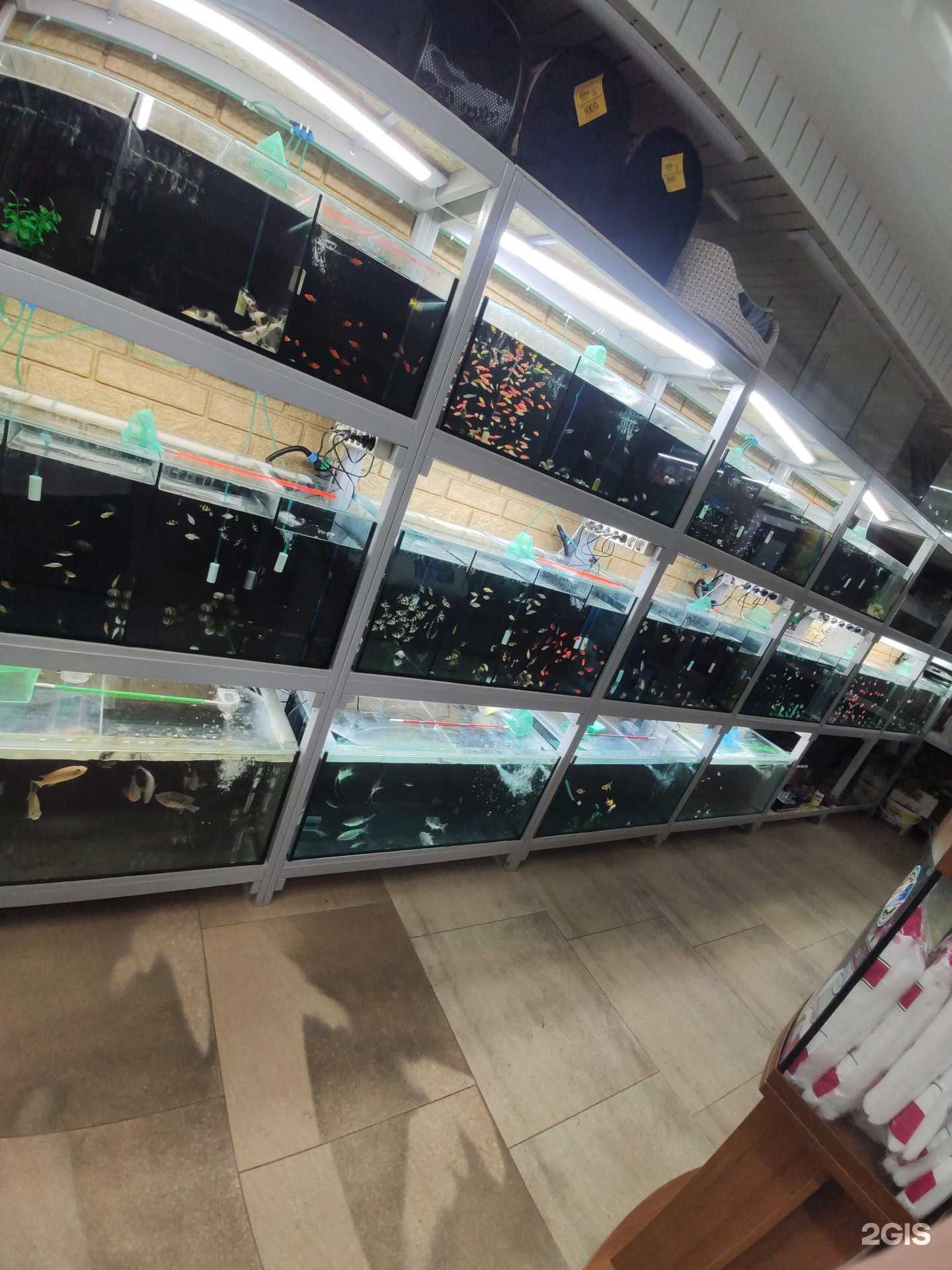 Отзывы на компанию Немо-Аква в Гукове c фото