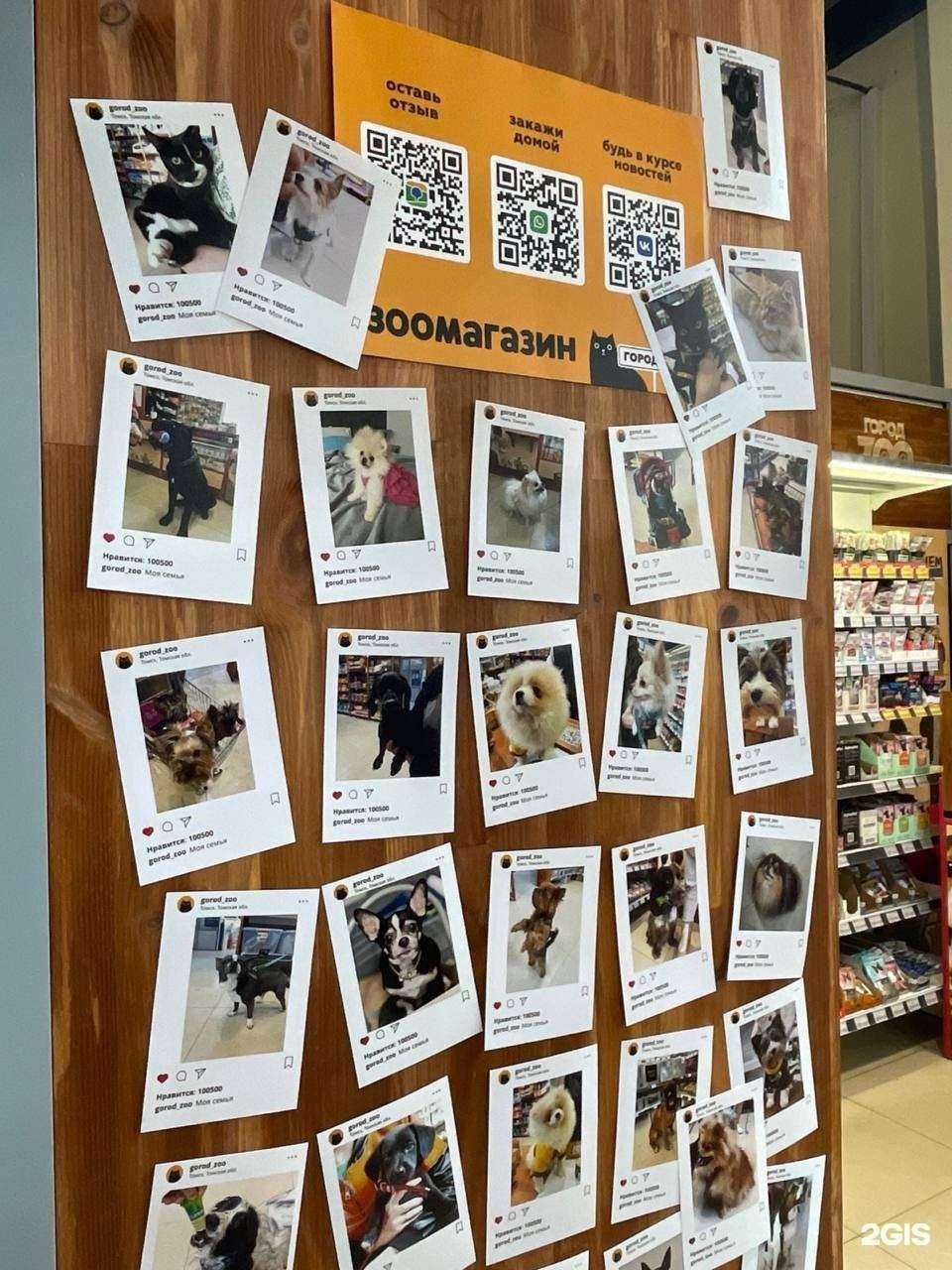 Отзывы на компанию Город ZOO в Томске c фото