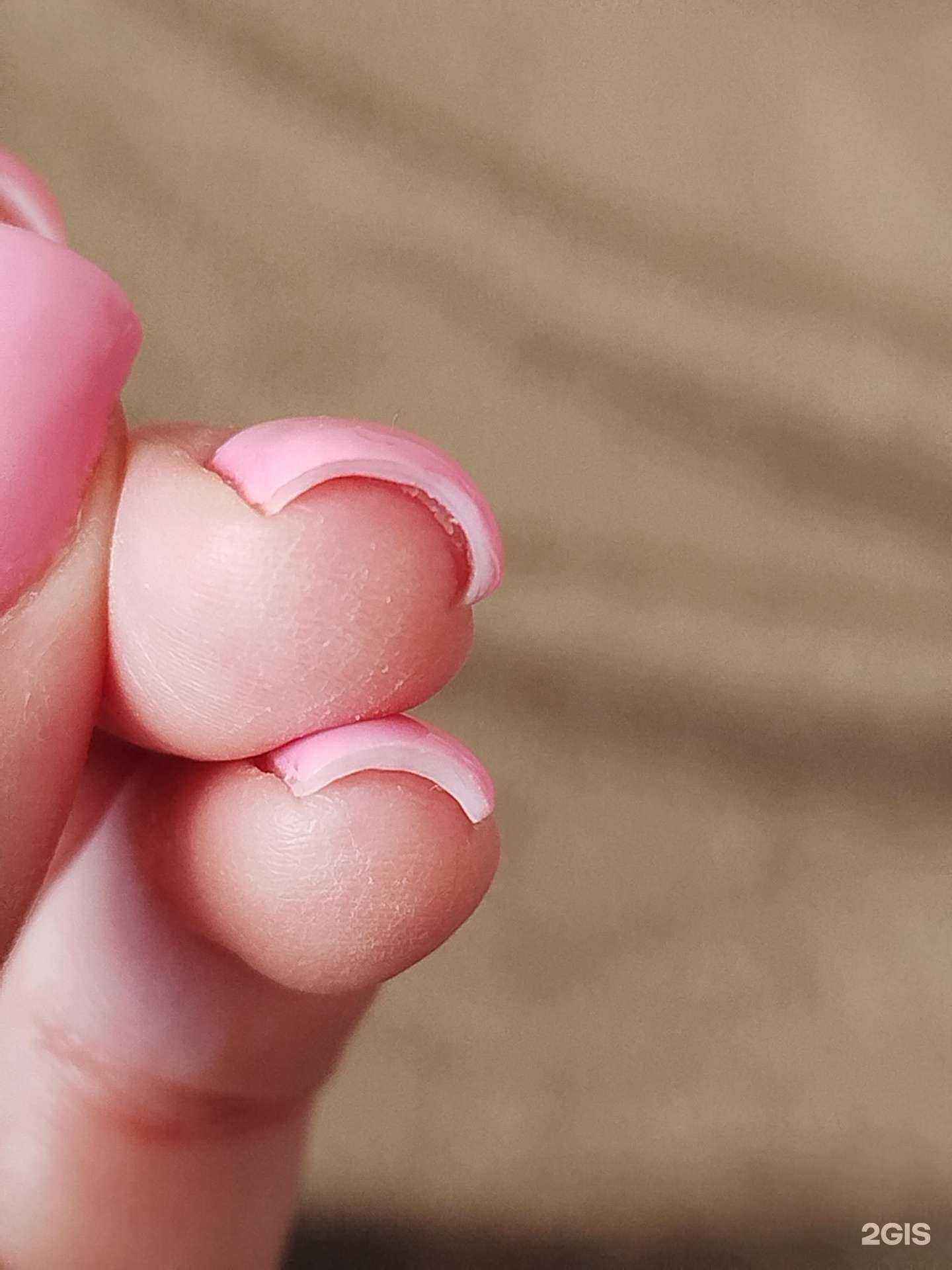 Отзывы на компанию Стрекоза в Сочи c фото