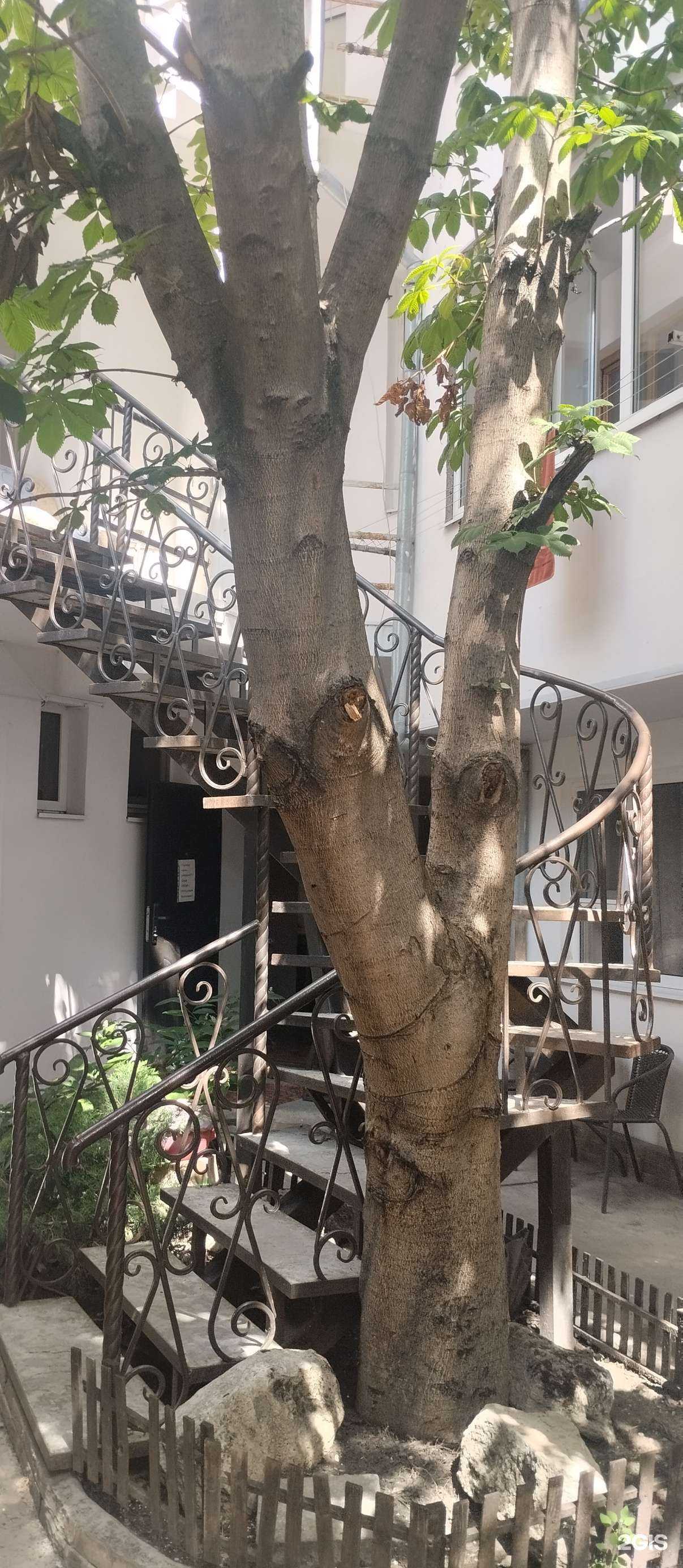 Отзывы на компанию Гостевой дом в Анапе c фото