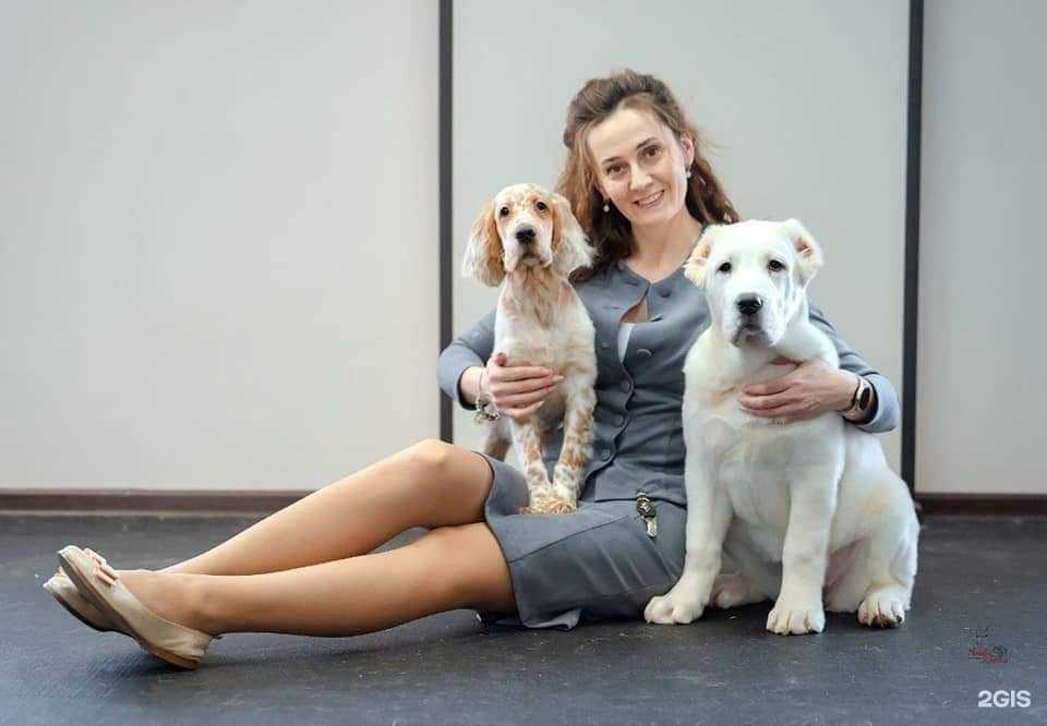 Отзывы на компанию Империал в г. Новосибирск c фото