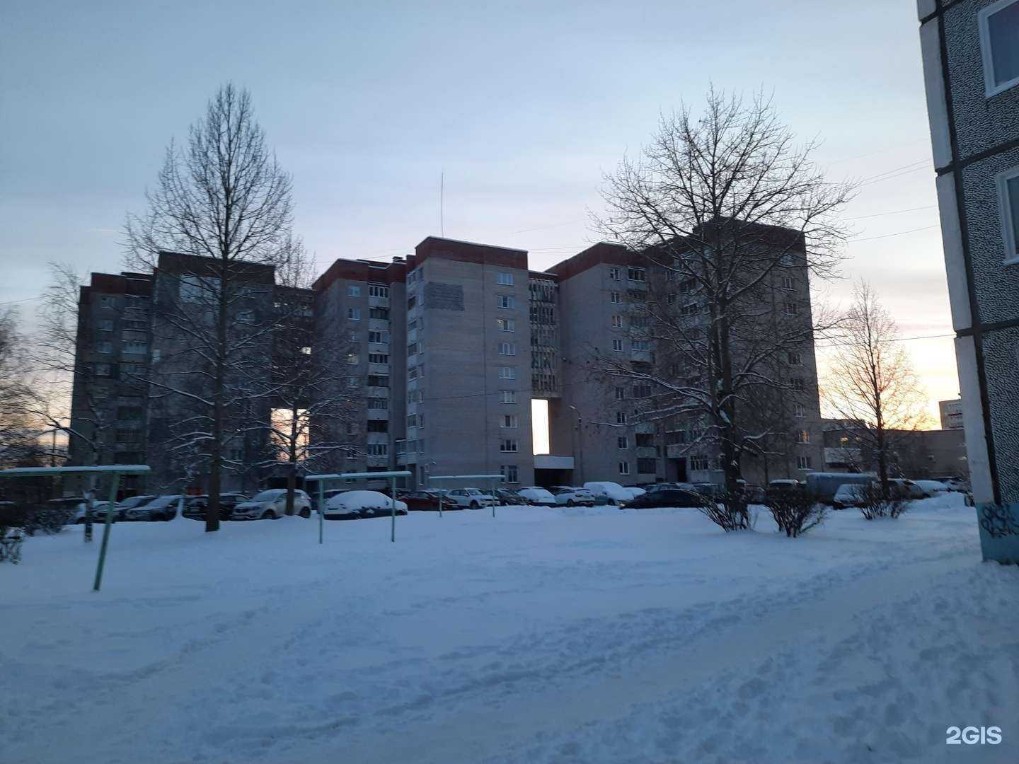 Отзывы на компанию Пионика в Северодвинске c фото - фотография 2 из 2