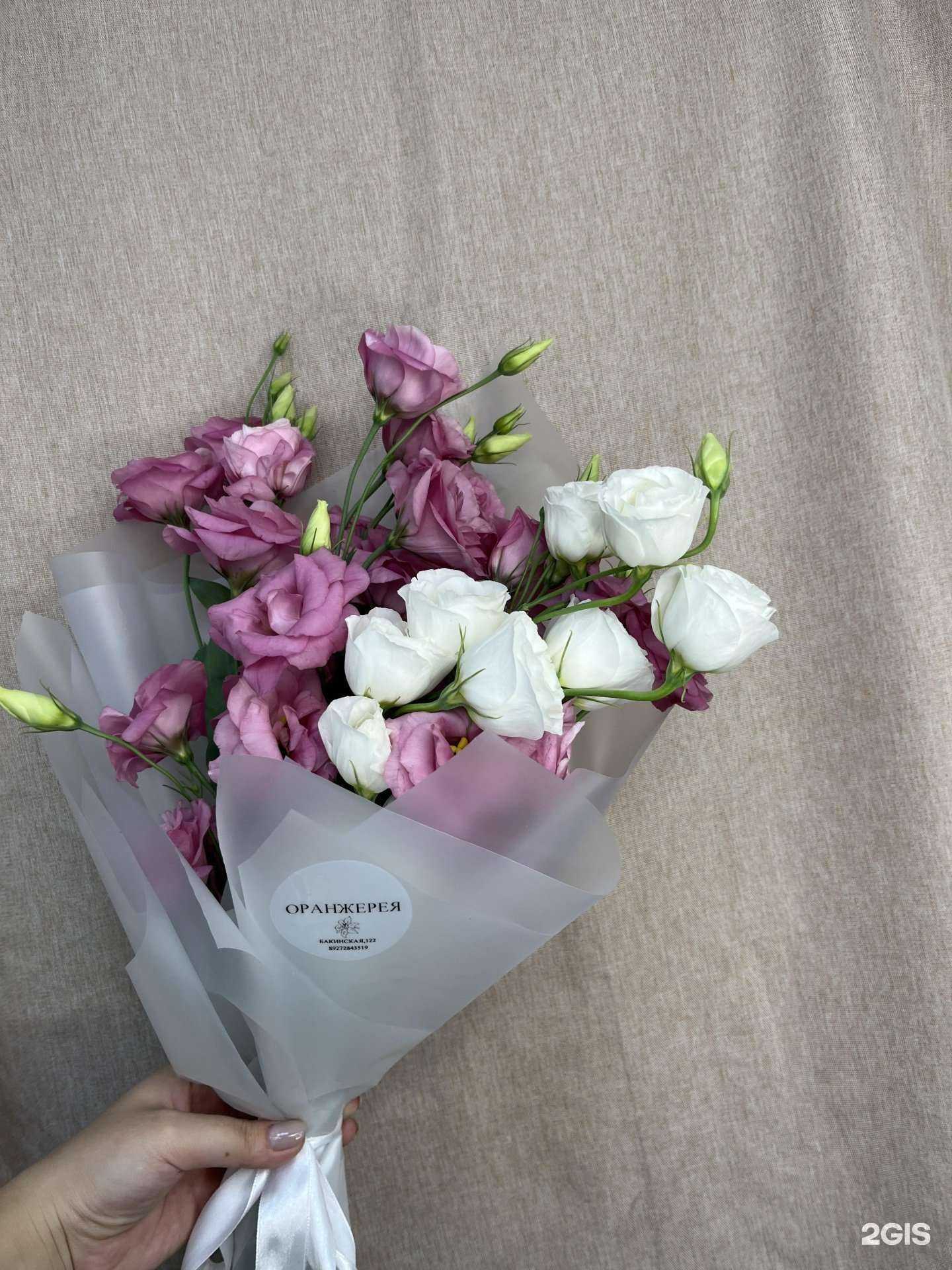 Отзывы на компанию Оранжерея в г. Астрахань c фото