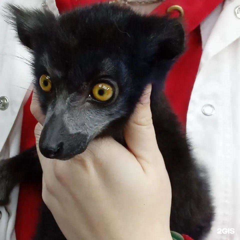 Отзывы на компанию Вет.Профи в Ставрополе c фото