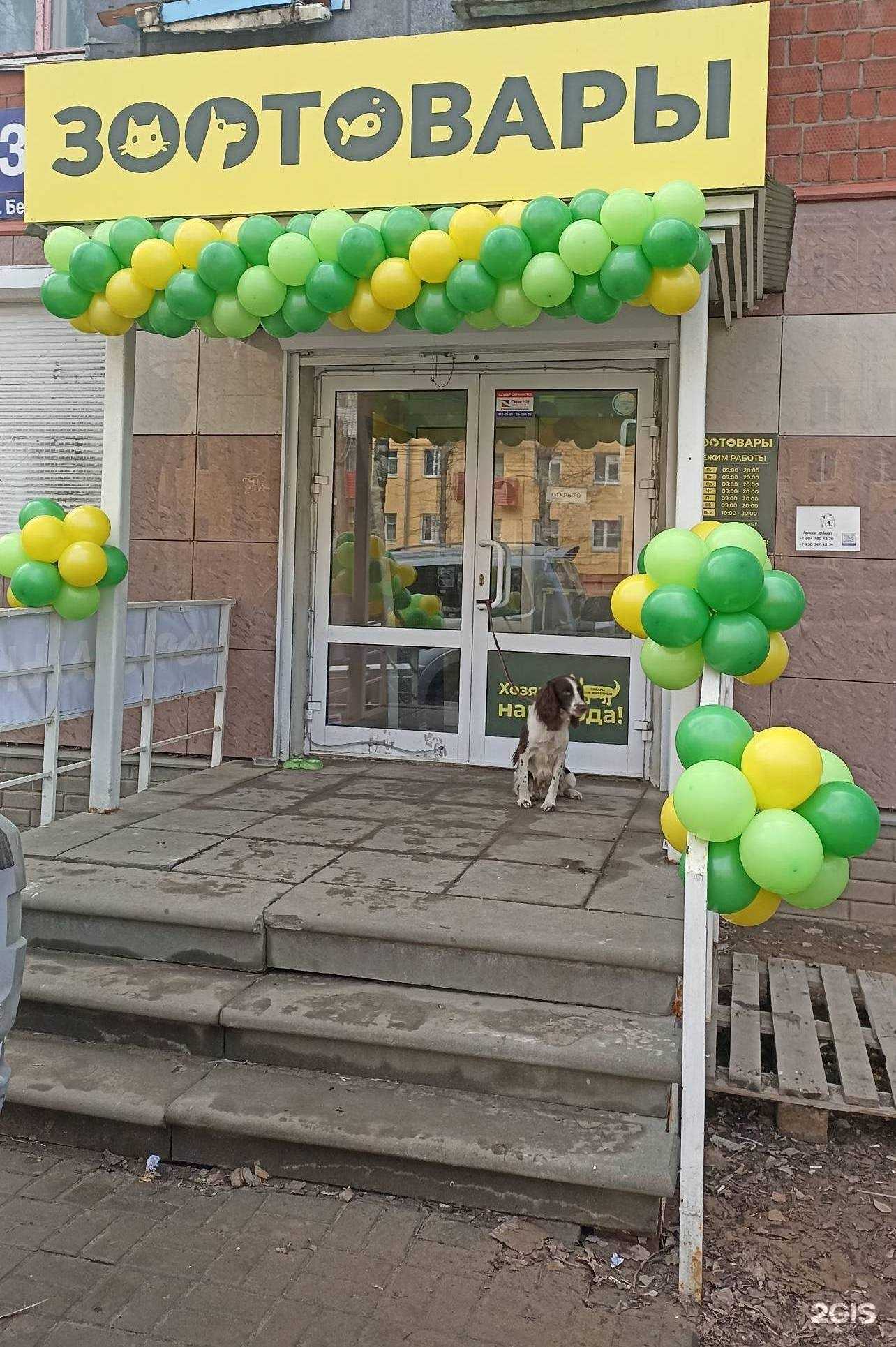 Отзывы на компанию Для любимчика в г. Нижний Новгород c фото